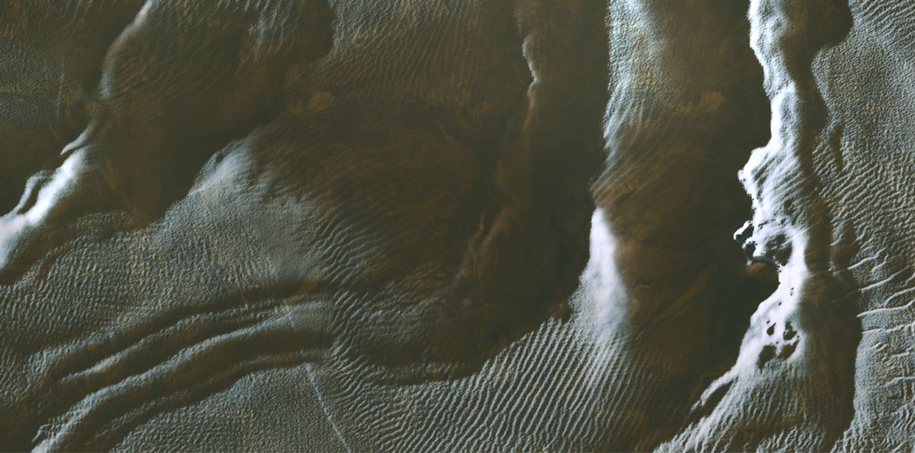 Natural Patterns by Andrea Mancarella