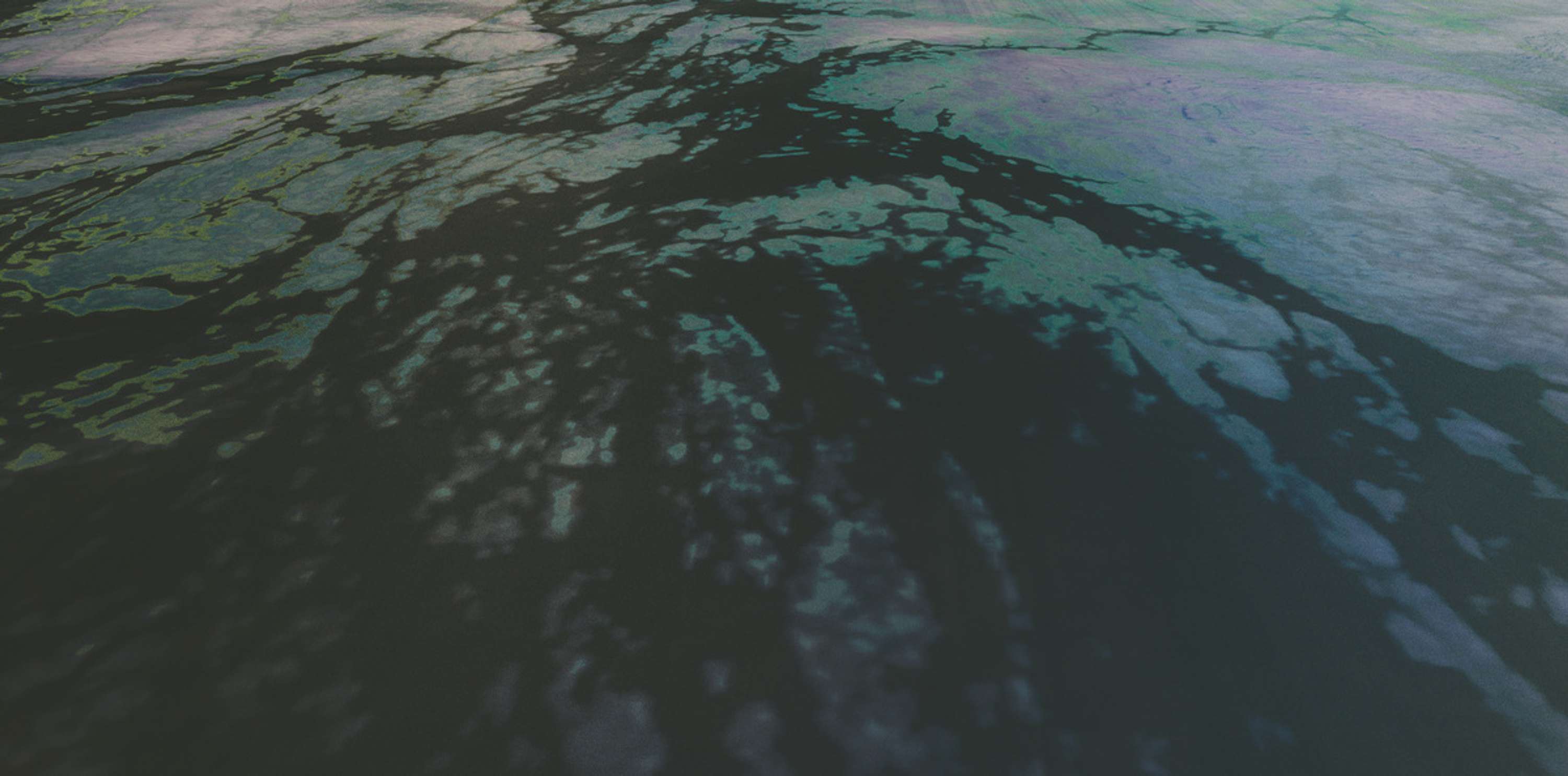Natural Patterns by Andrea Mancarella
