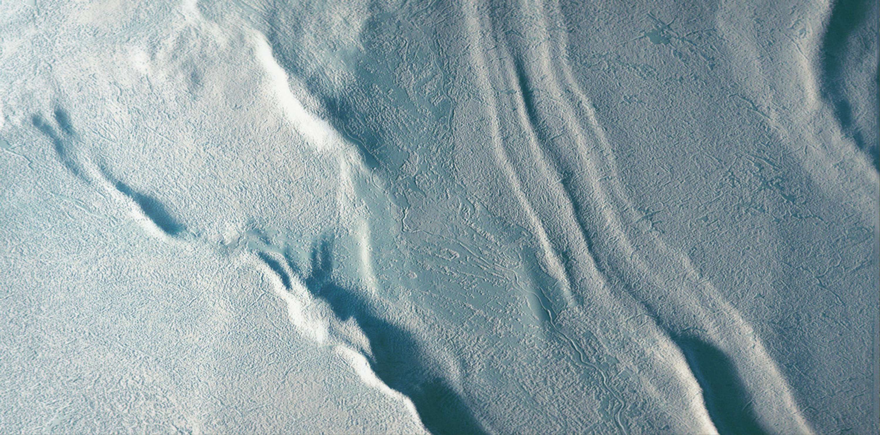 Natural Patterns by Andrea Mancarella