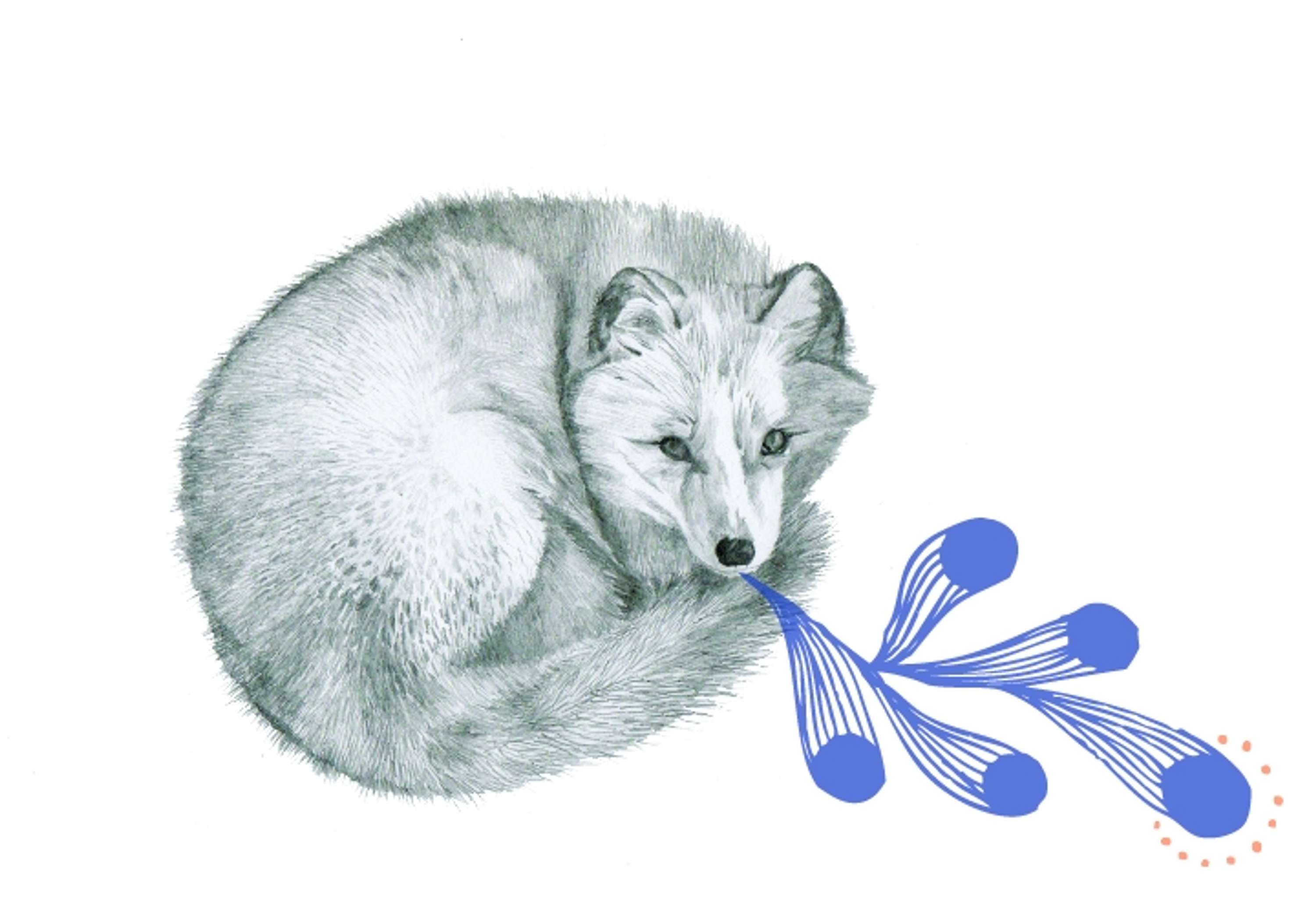 Personal Drawing by Meeri Anneli