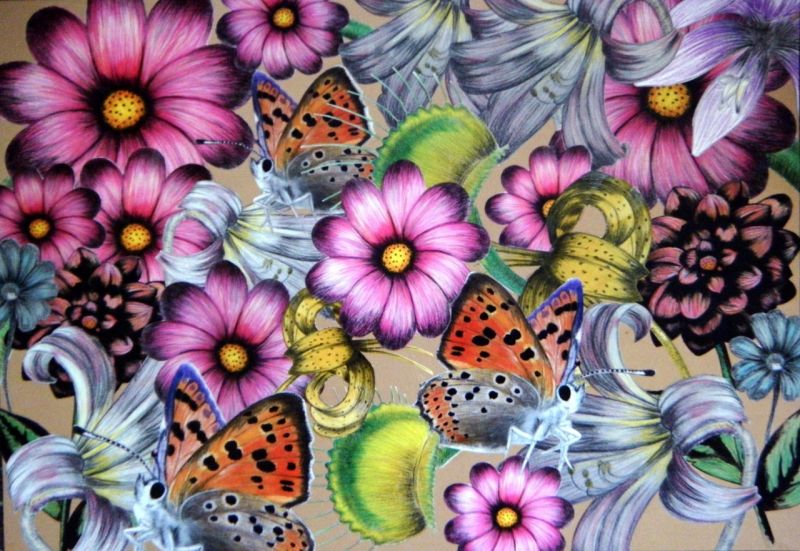 CPIT - 3rd Year Drawings by Phillipa Greig