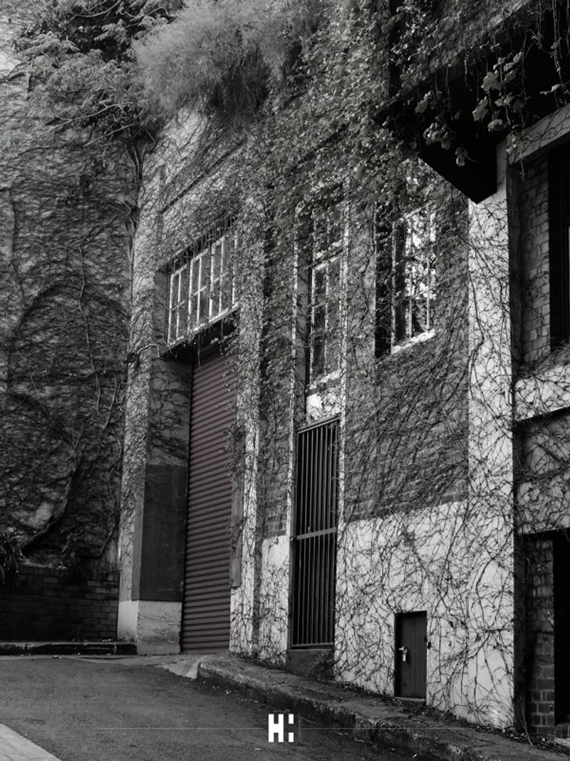 My B&W Photography by Hannah Hallgren