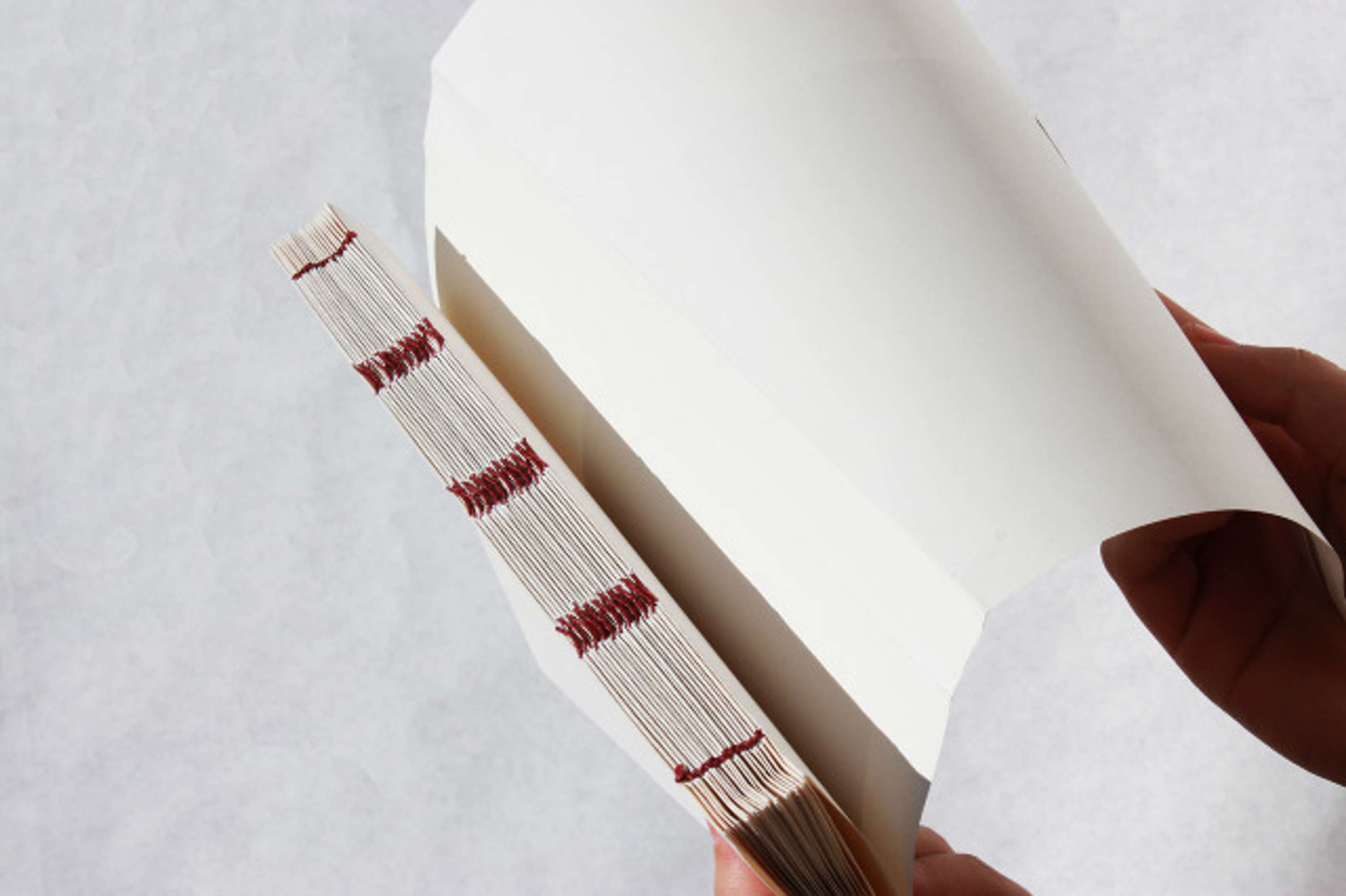 An Unofficial Guide to the Unknown and Unpredictable by Giannabella Sacco