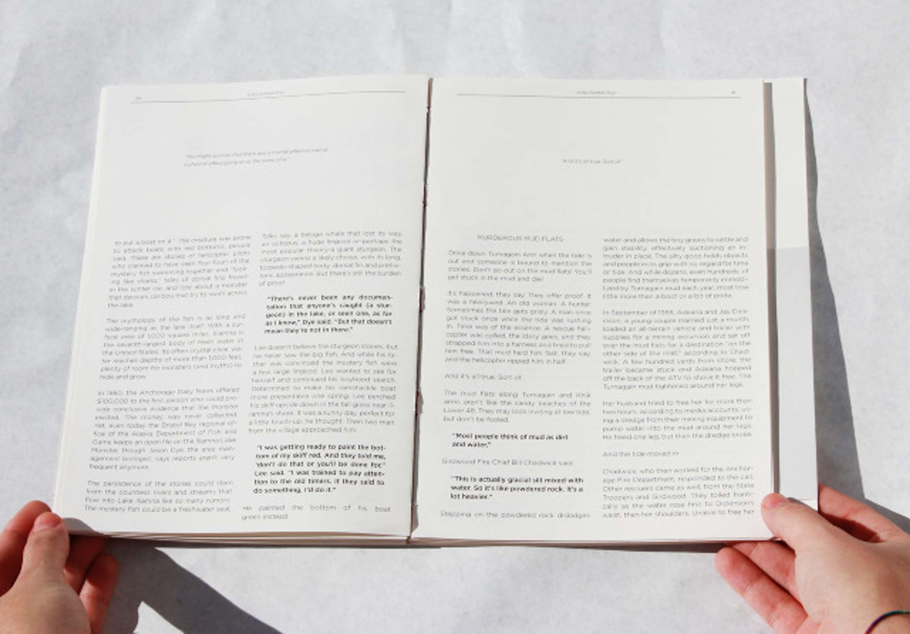 An Unofficial Guide to the Unknown and Unpredictable by Giannabella Sacco