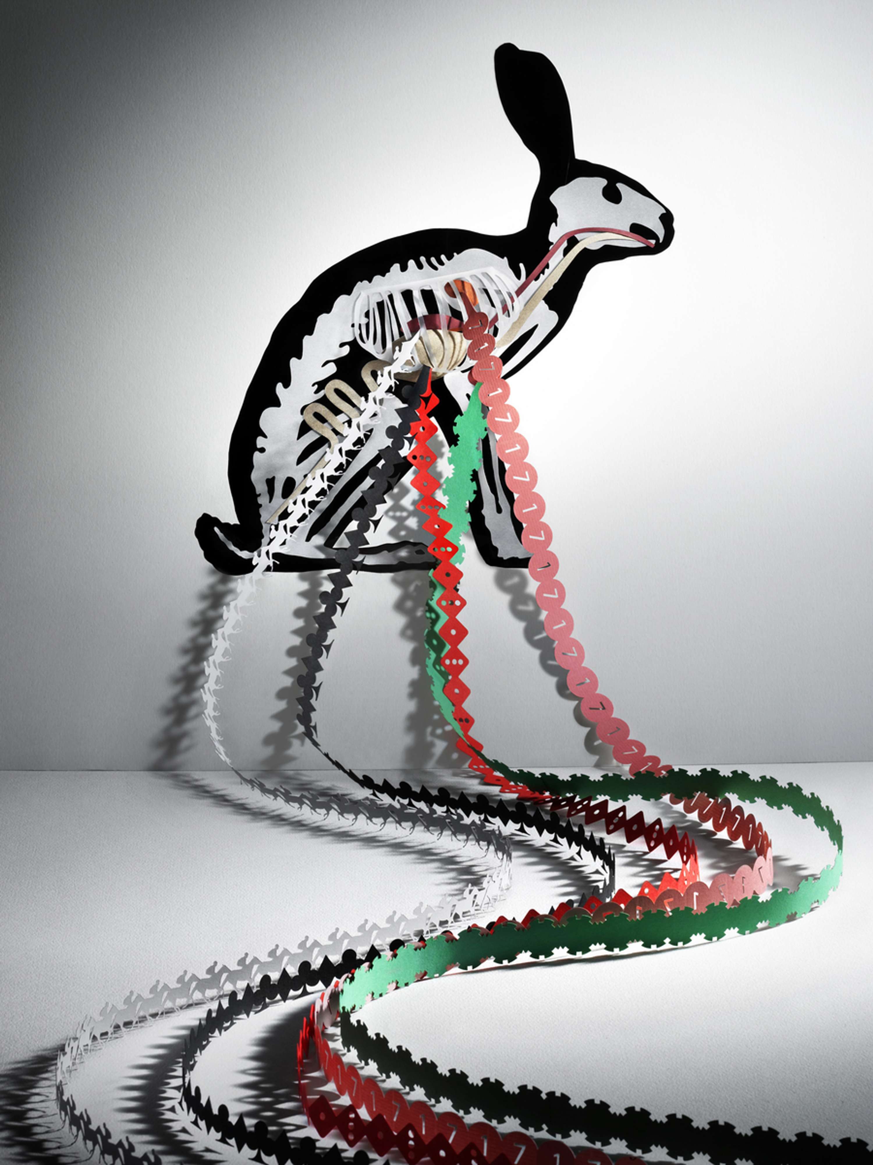 Paper Projects by Helen Friel
