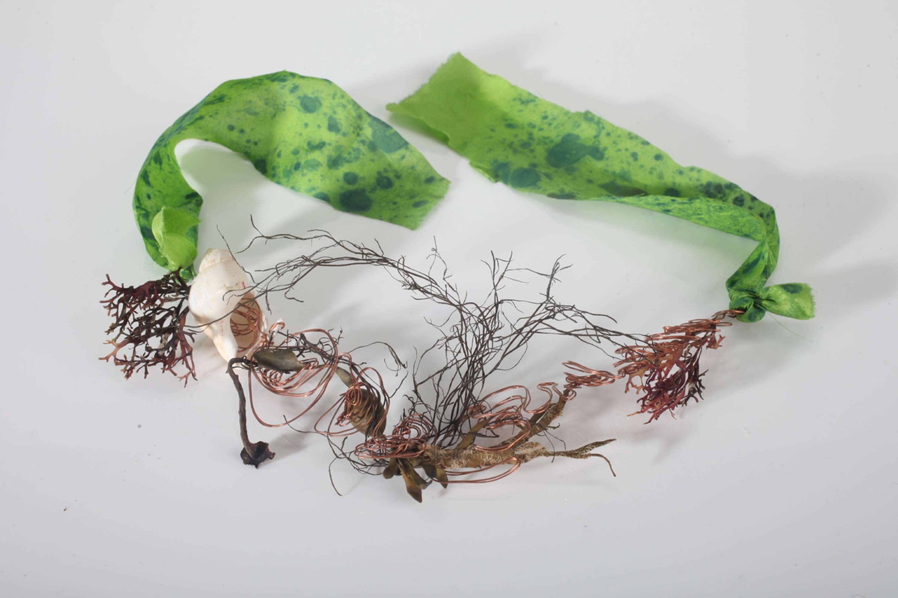 Ebb and Flow by Tara Welsman