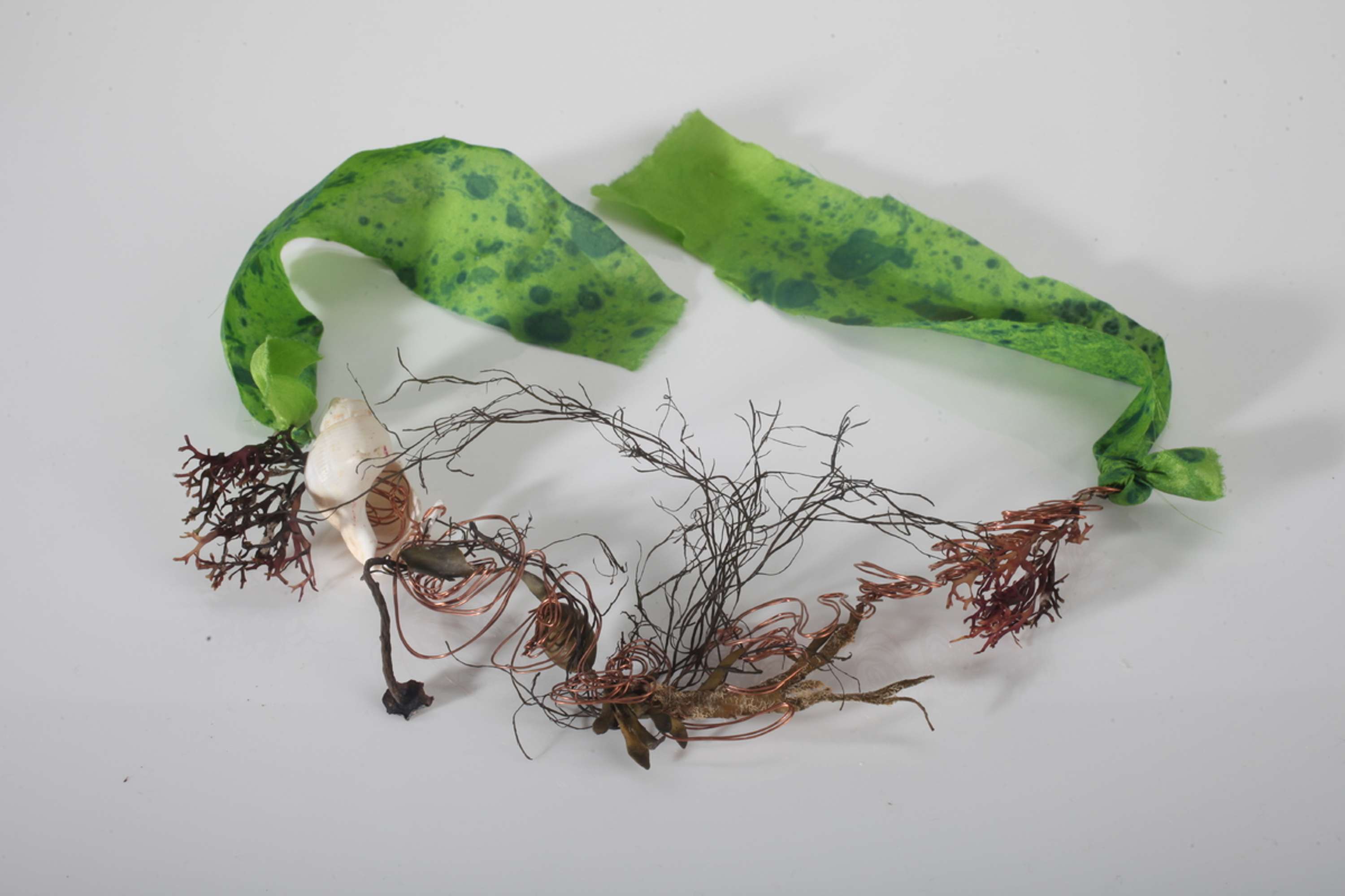 Ebb and Flow by Tara Welsman
