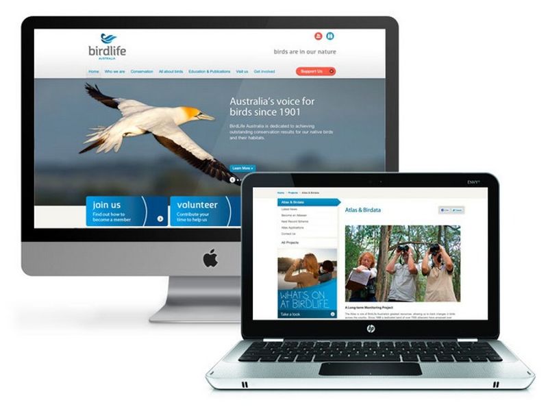 BIRDLIFE AUSTRALIA by Carter Digital