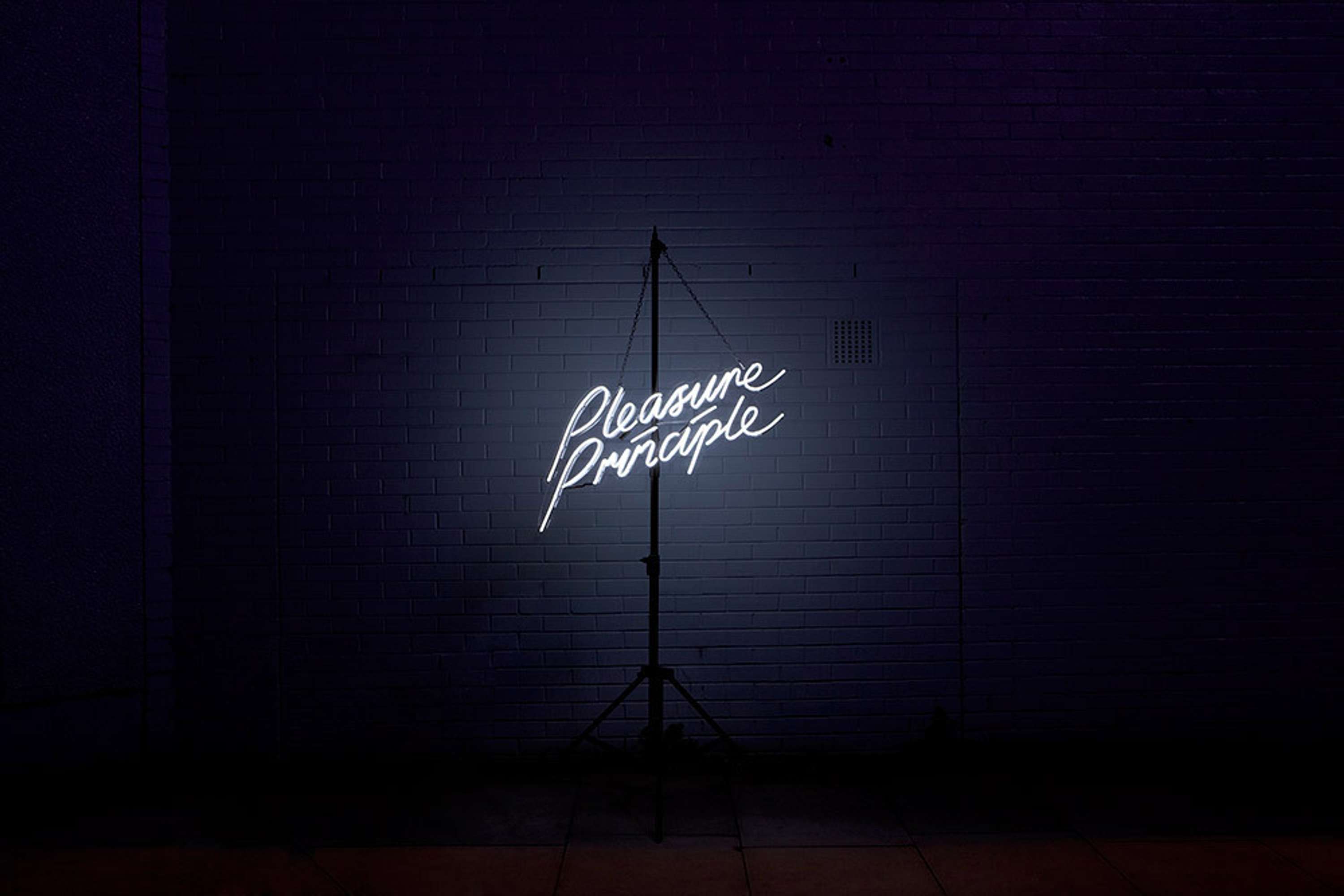 Pleasure Principle by Sam Reid