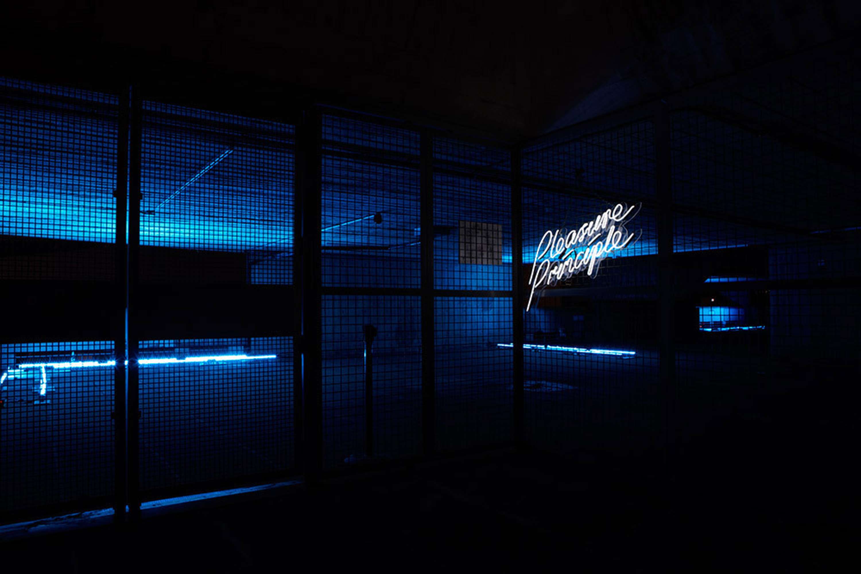Pleasure Principle by Sam Reid