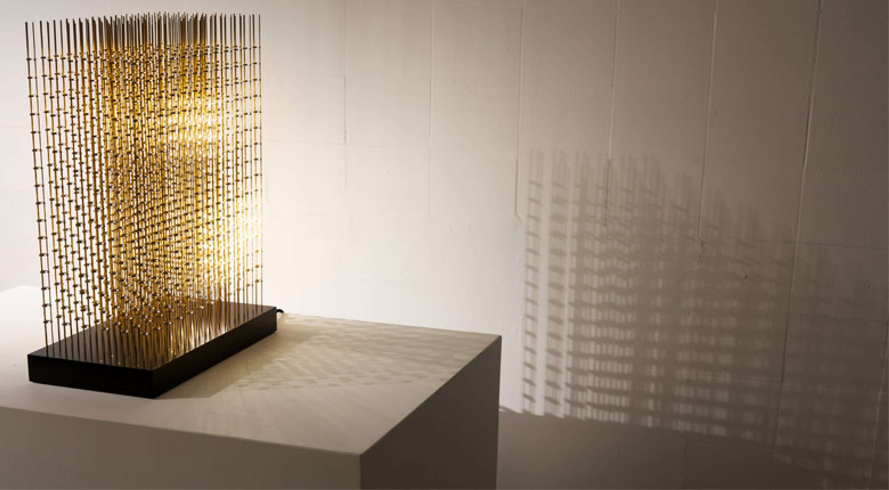 SWARM STUDY VI / SMALL SWARM by Stuart Wood