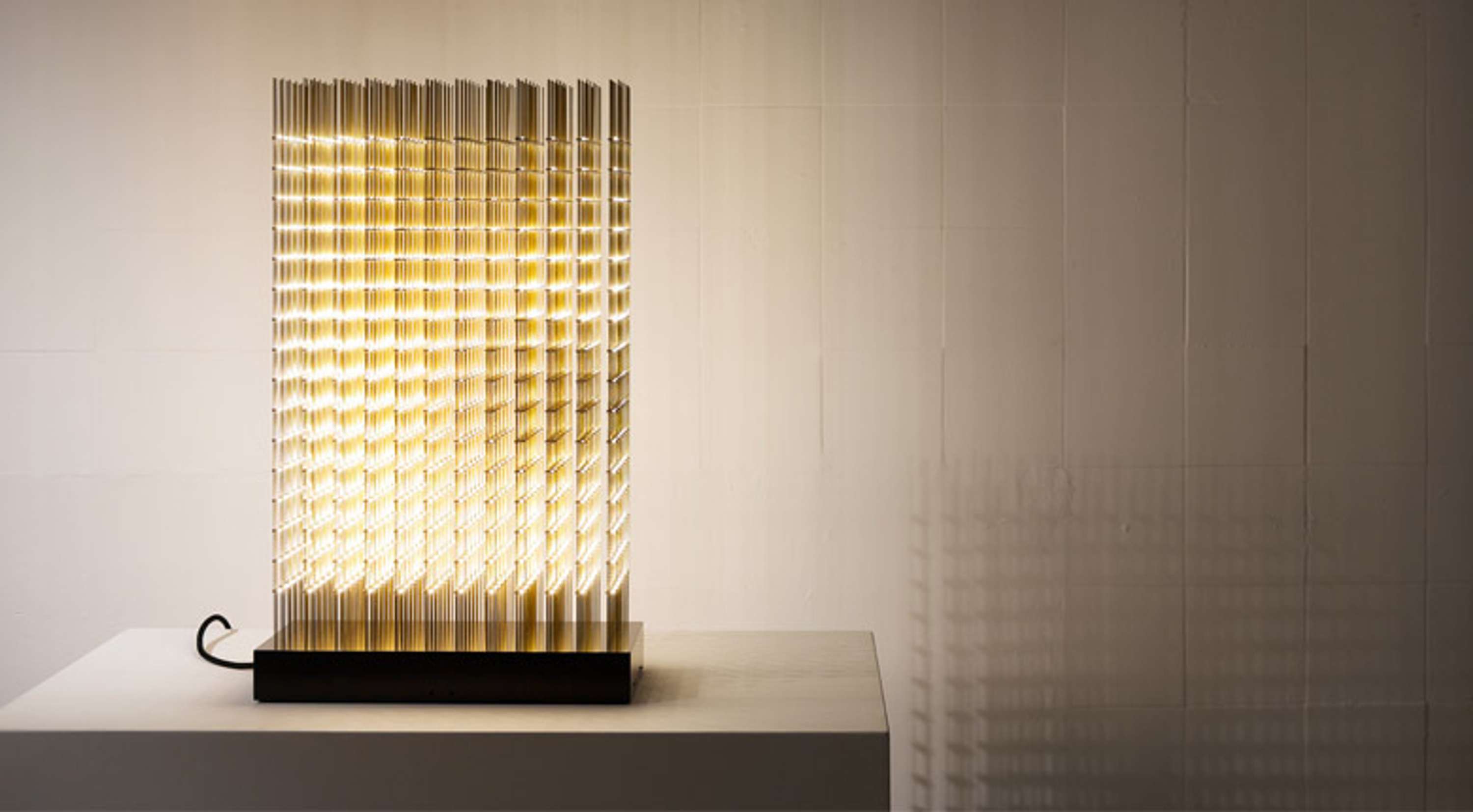 SWARM STUDY VI / SMALL SWARM by Heloise Reynolds