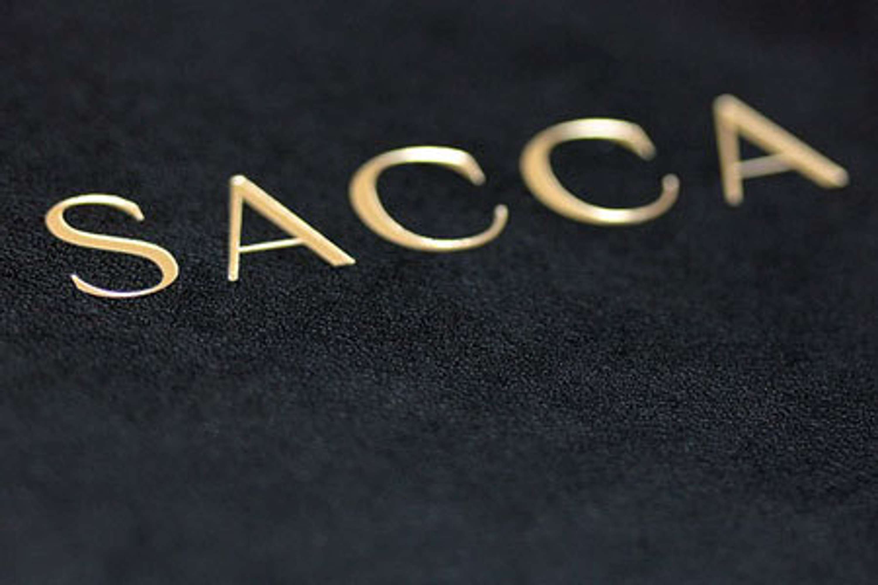 SACCA by Colm Roche