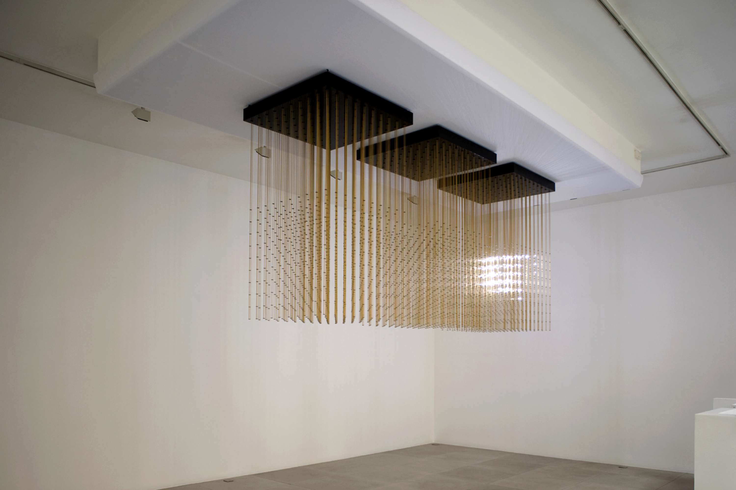 Swarm Studies by Tom Metcalfe