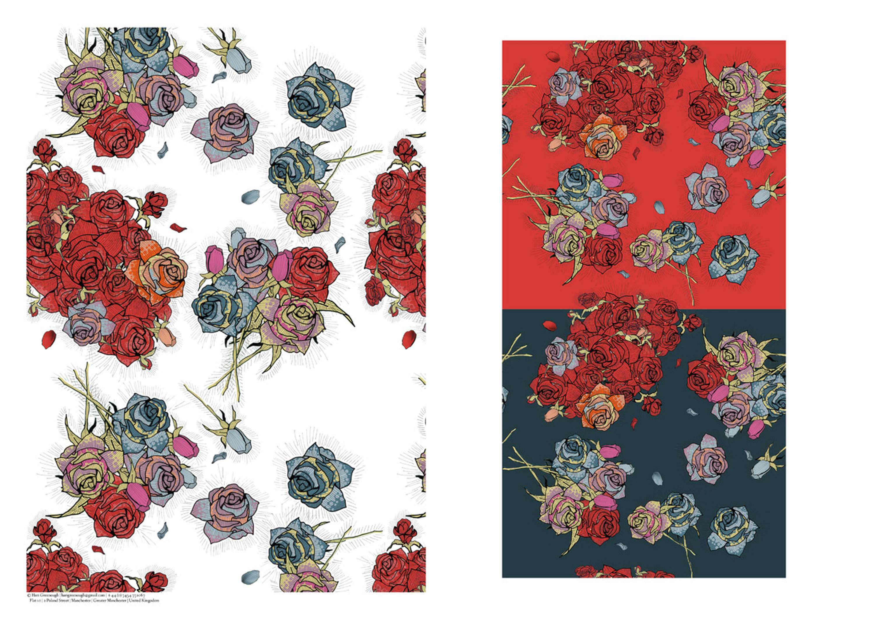 Print Portfolio by Hari Greenough
