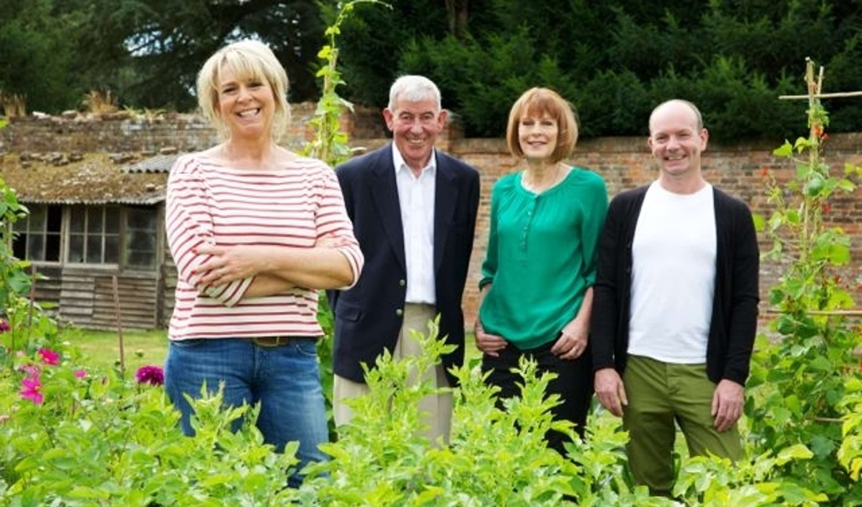 The Big Allotment Challenge by The Farm Group
