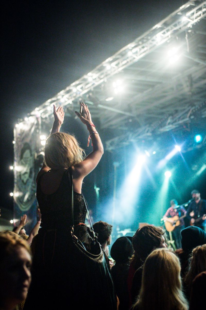 LeeFest 2014 by Sophie Howe