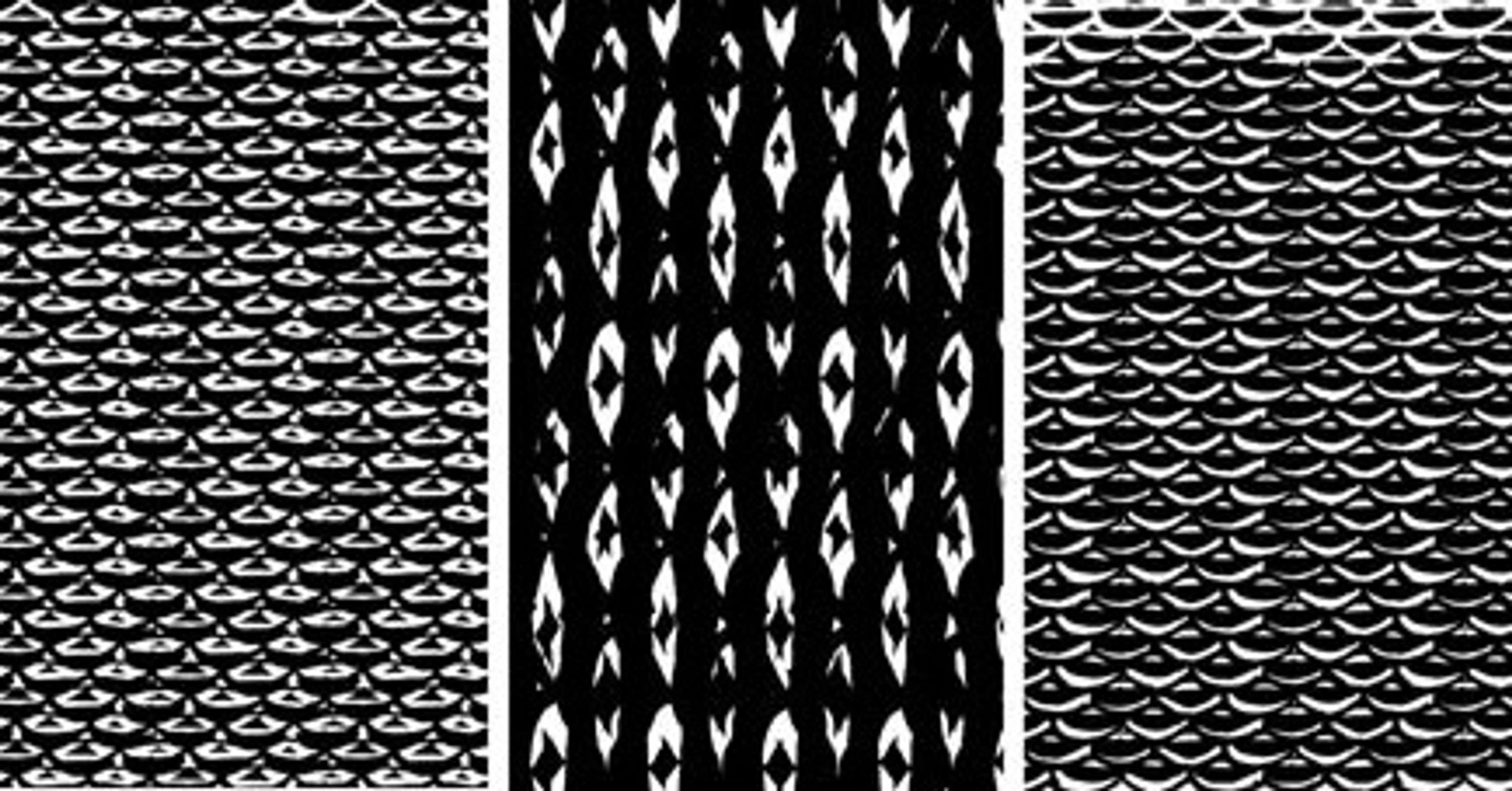 Monochrome feather prints by Amy Wilson