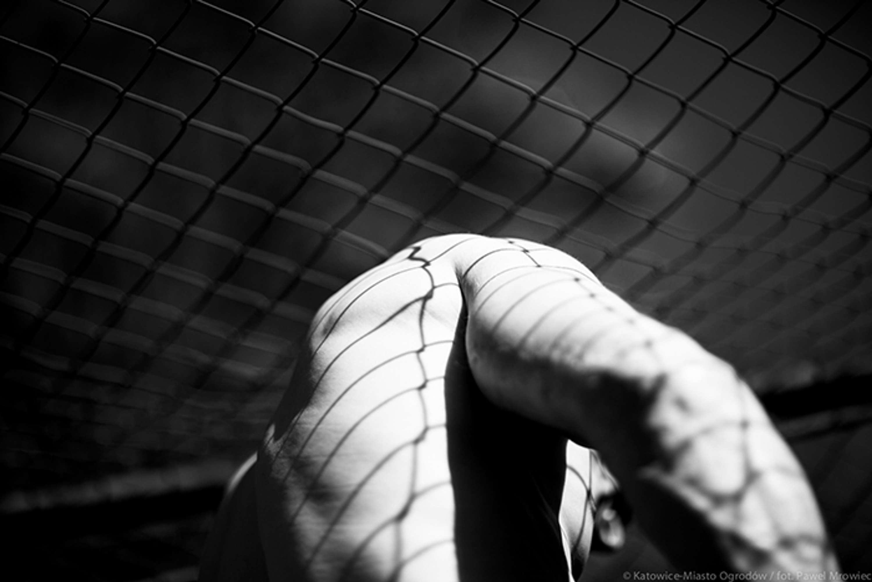 Senteced by Pawel Mrowiec