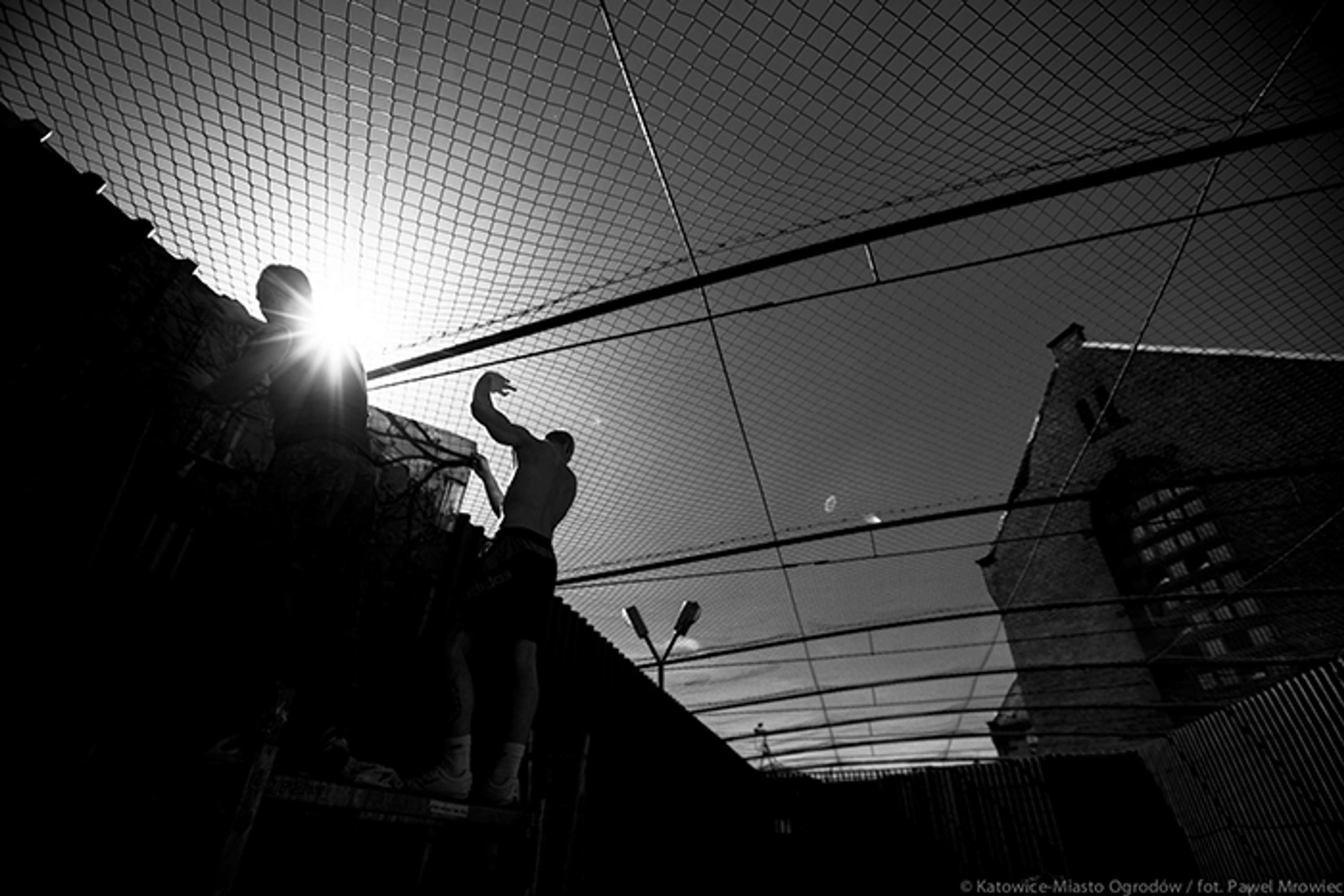 Senteced by Pawel Mrowiec