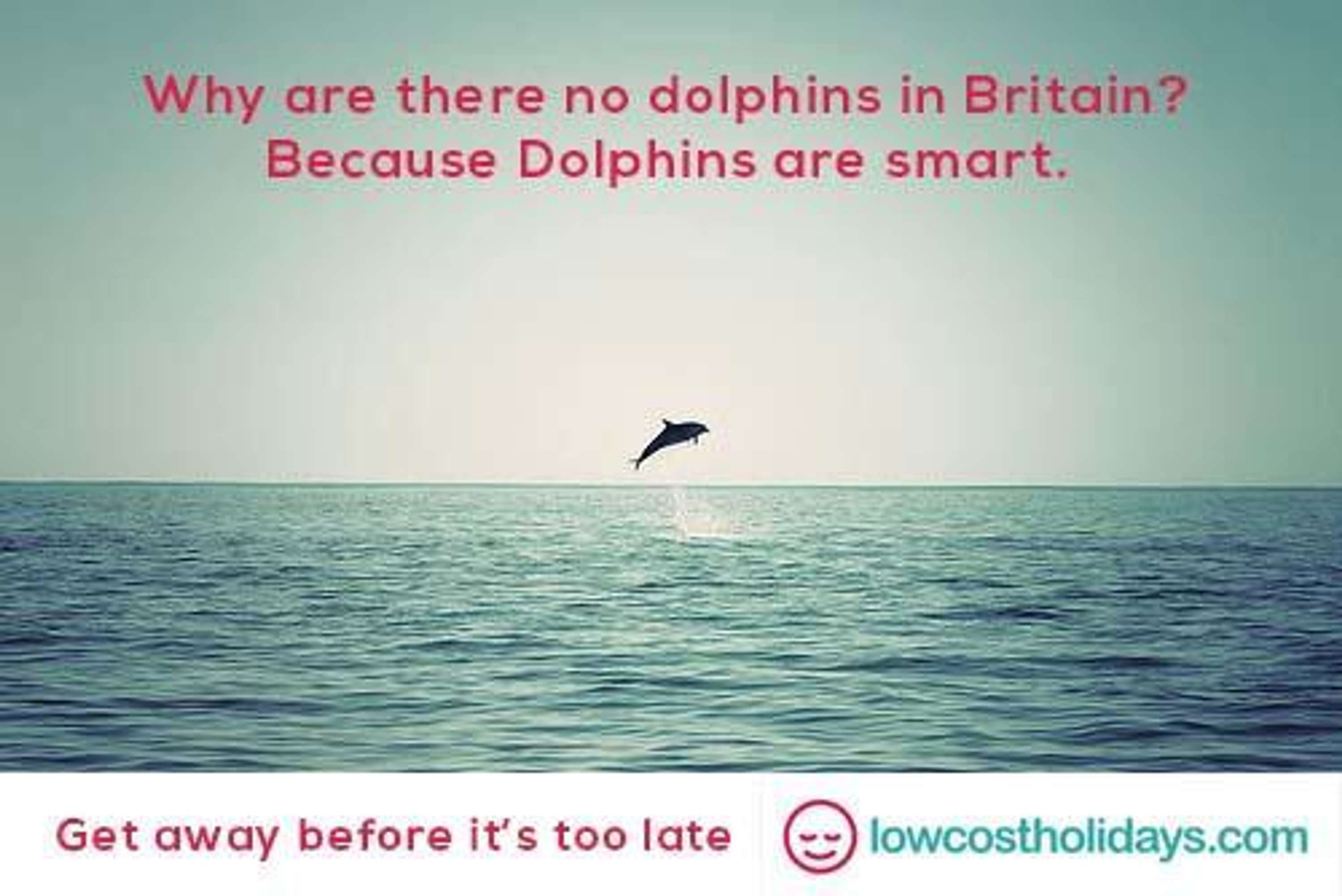Advertise lowcostholidays.com by One Minute Briefs