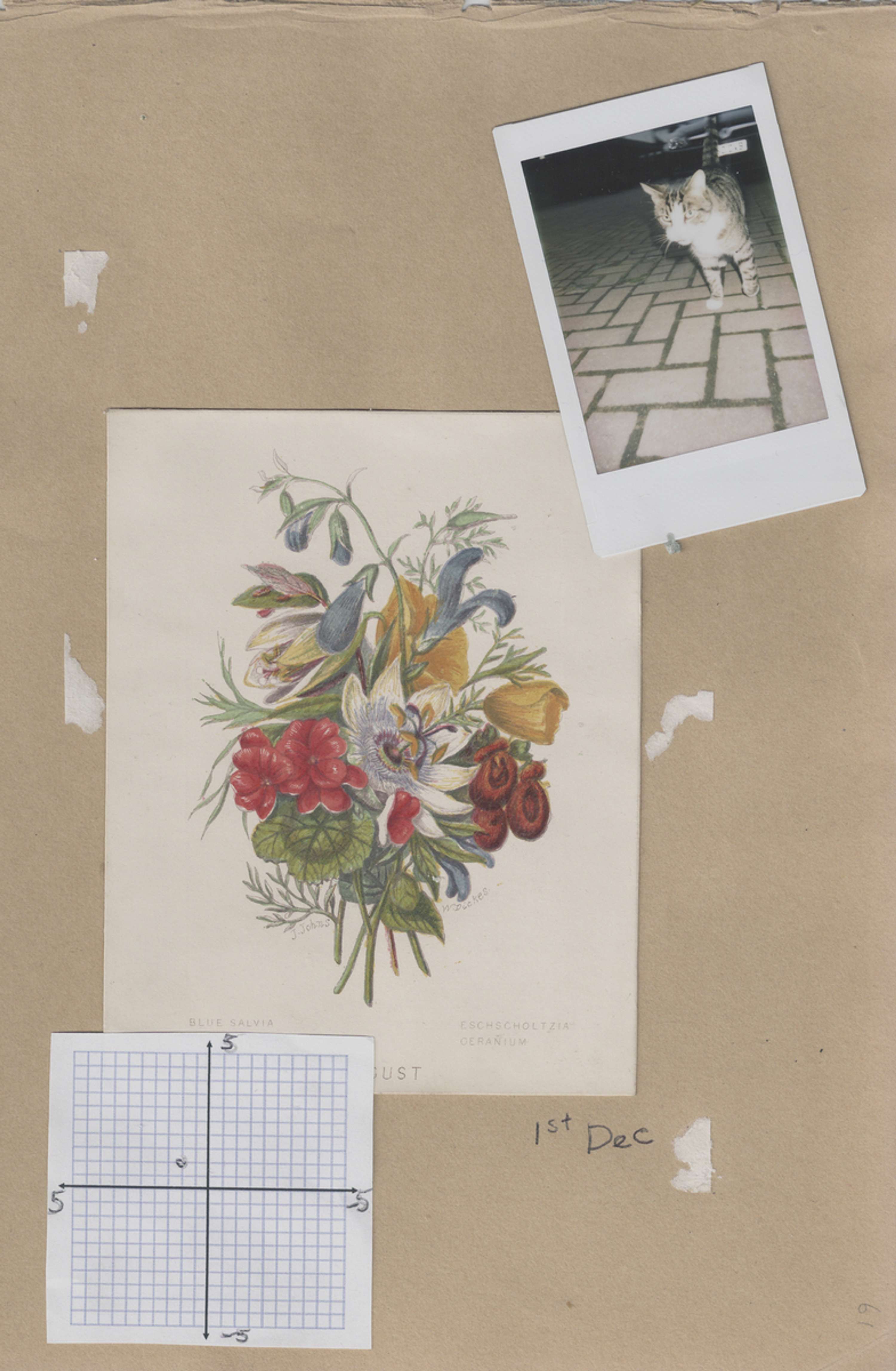 Diary by Sophie Chatfield