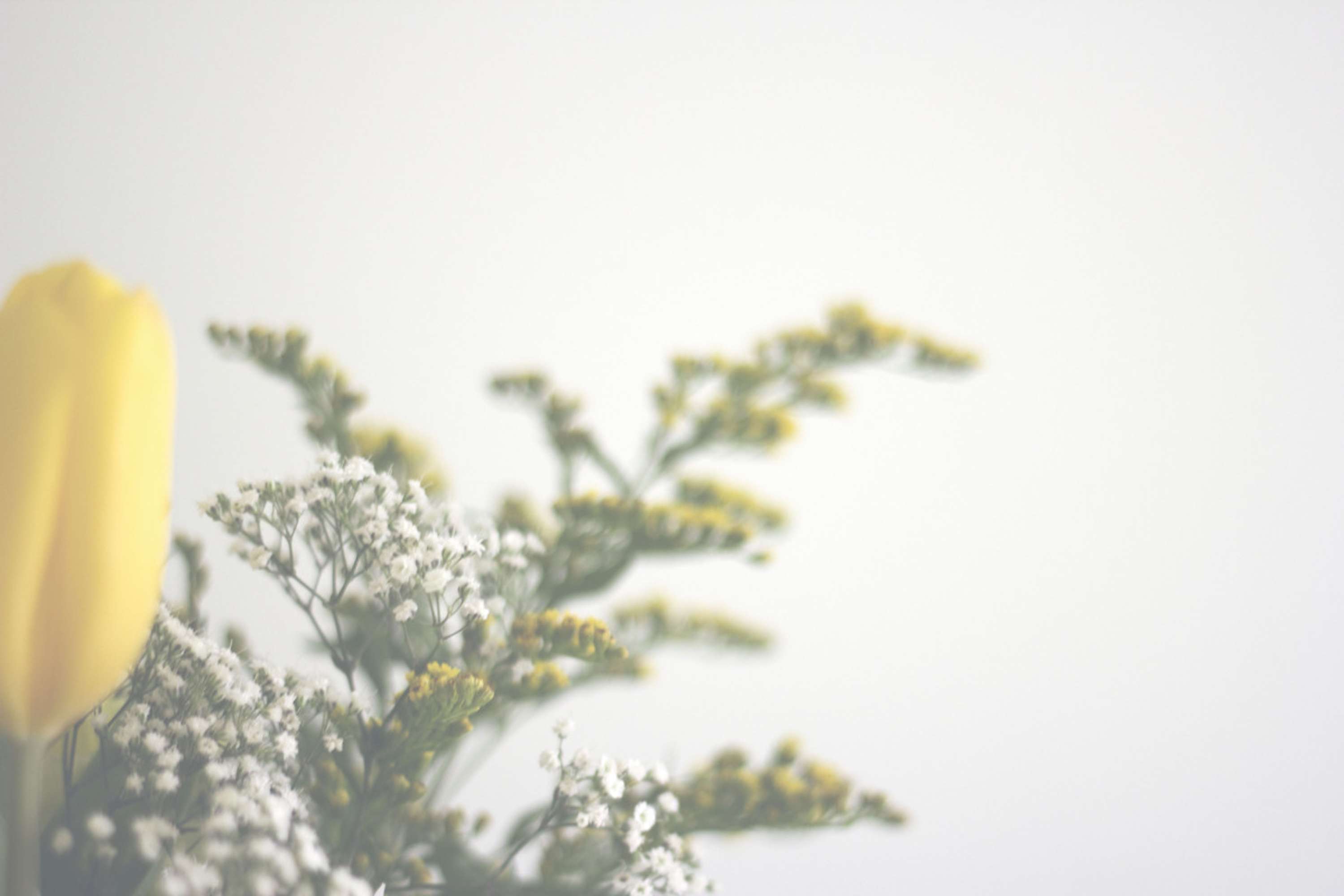Fragile by Sophie Chatfield