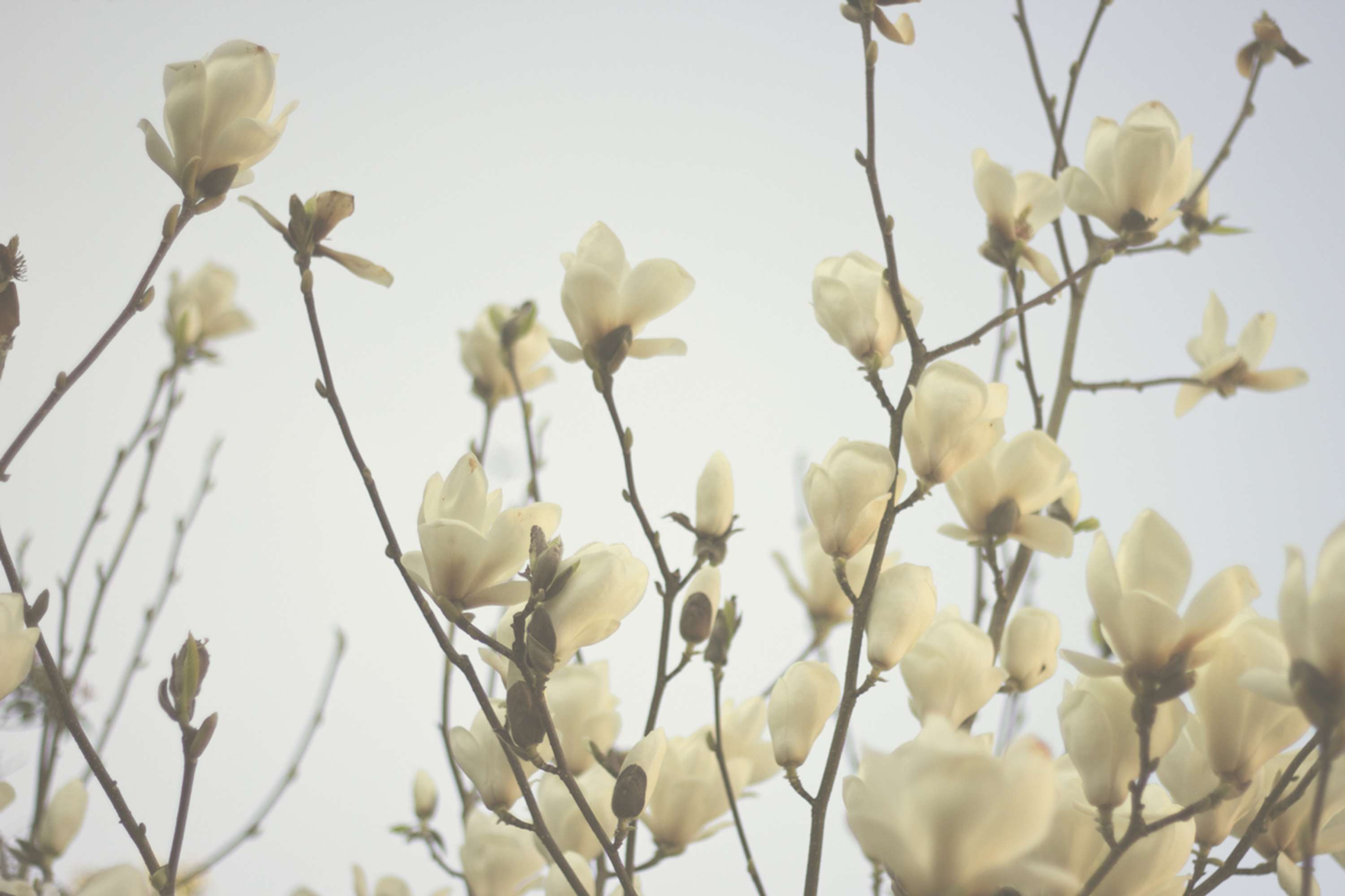 Fragile by Sophie Chatfield