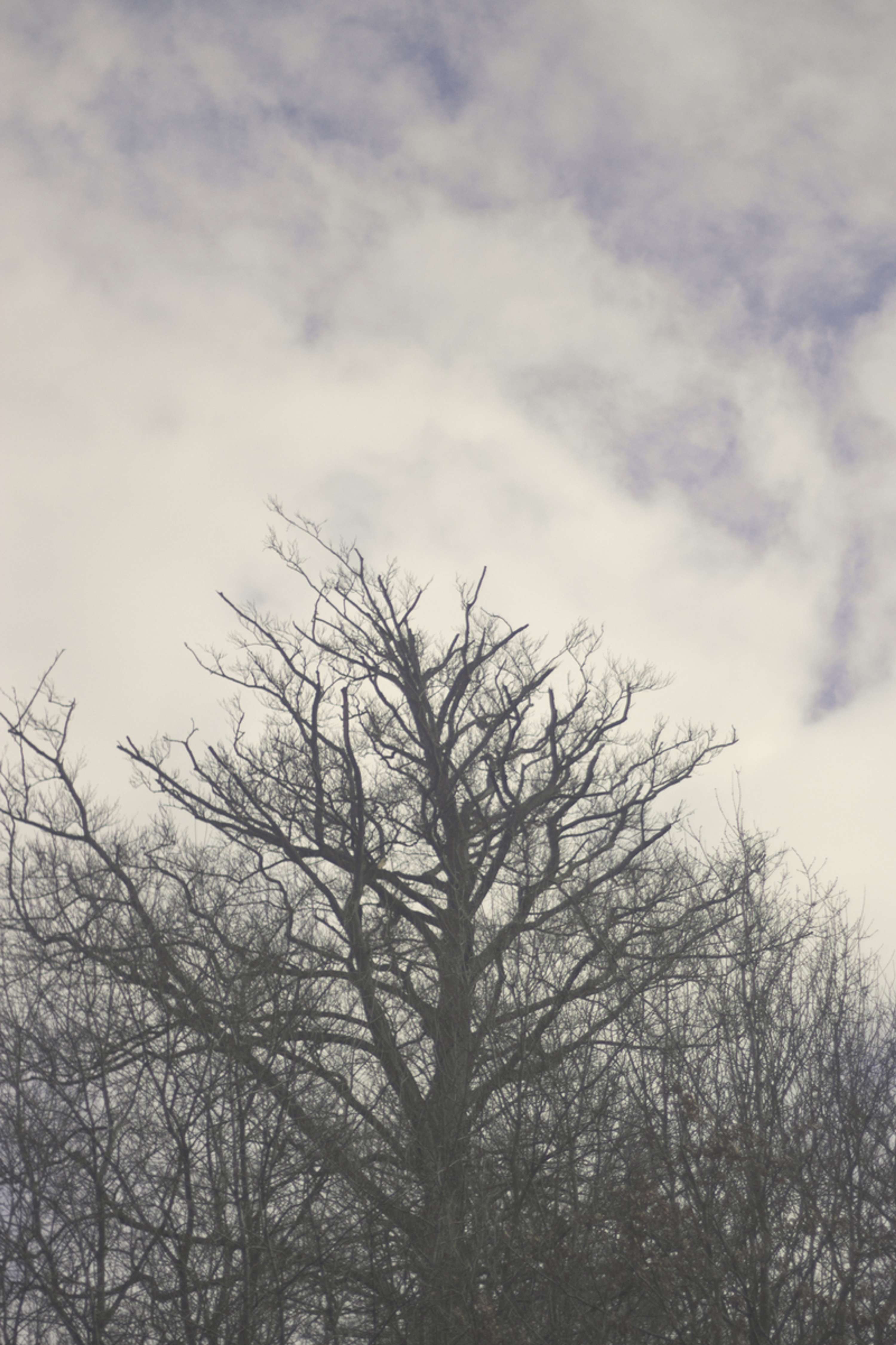 Fragile by Sophie Chatfield