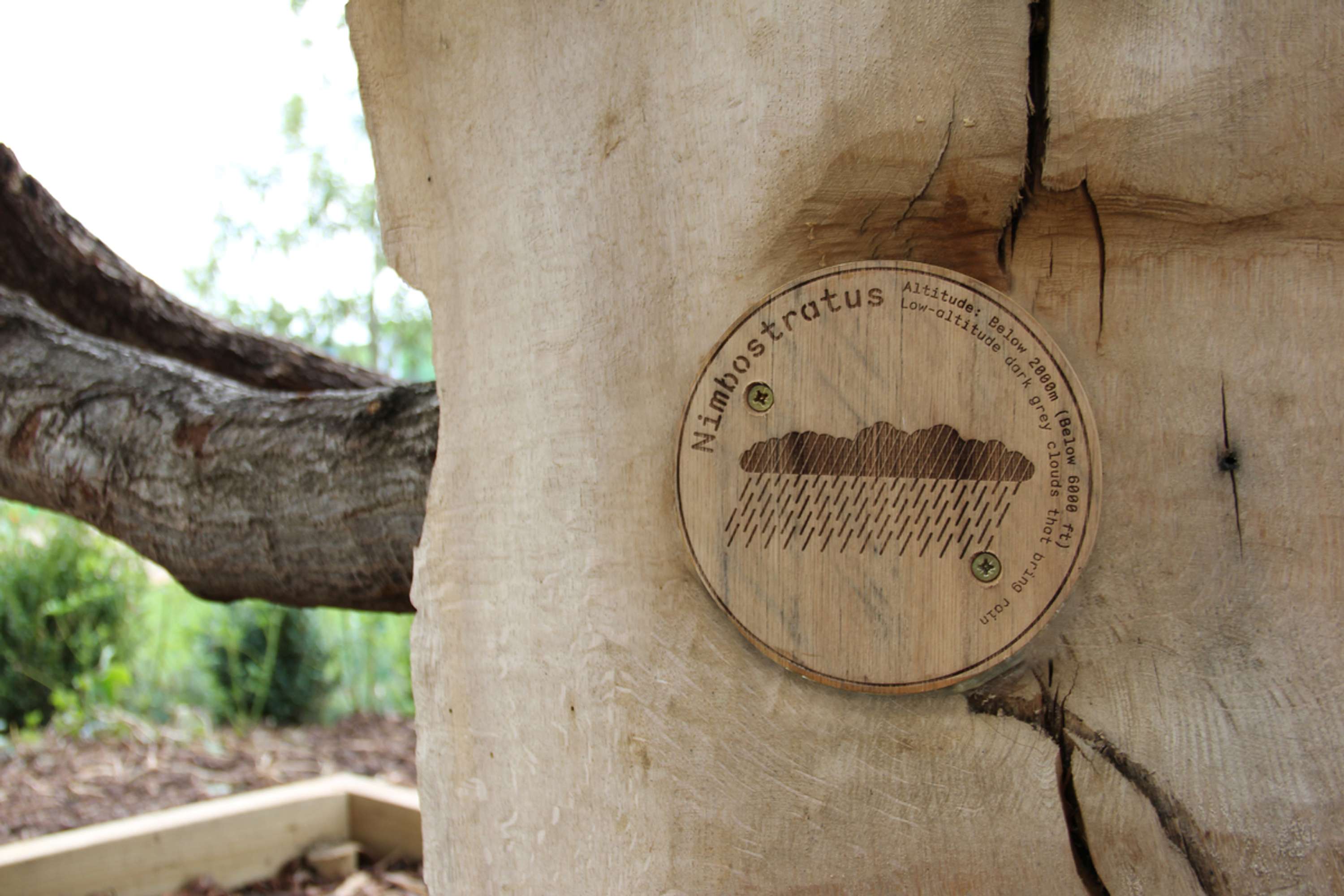 The Scots Pine Cloud Observatory by Fieldwork Facility