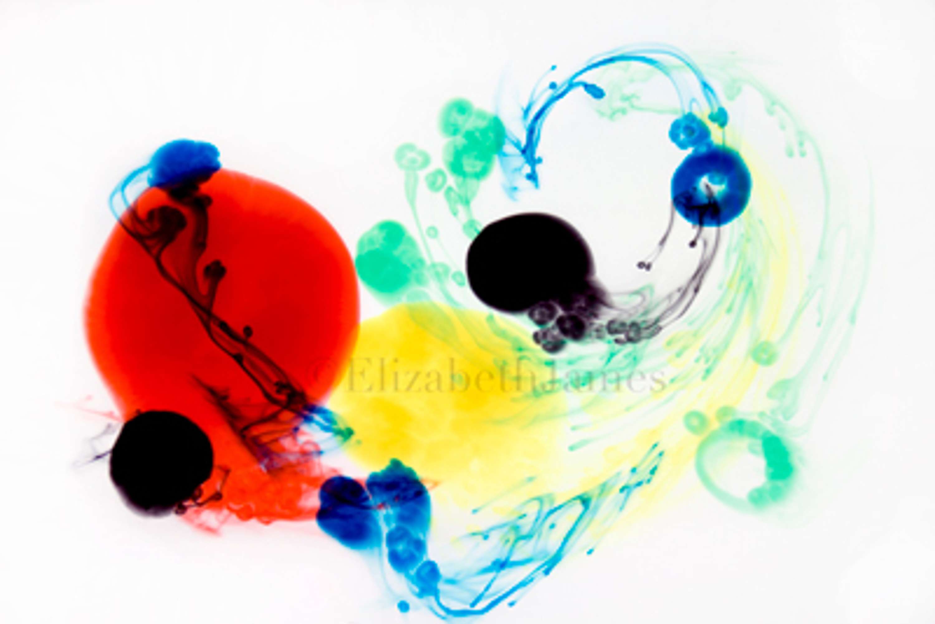 Colour in Motion series by Elizabeth James