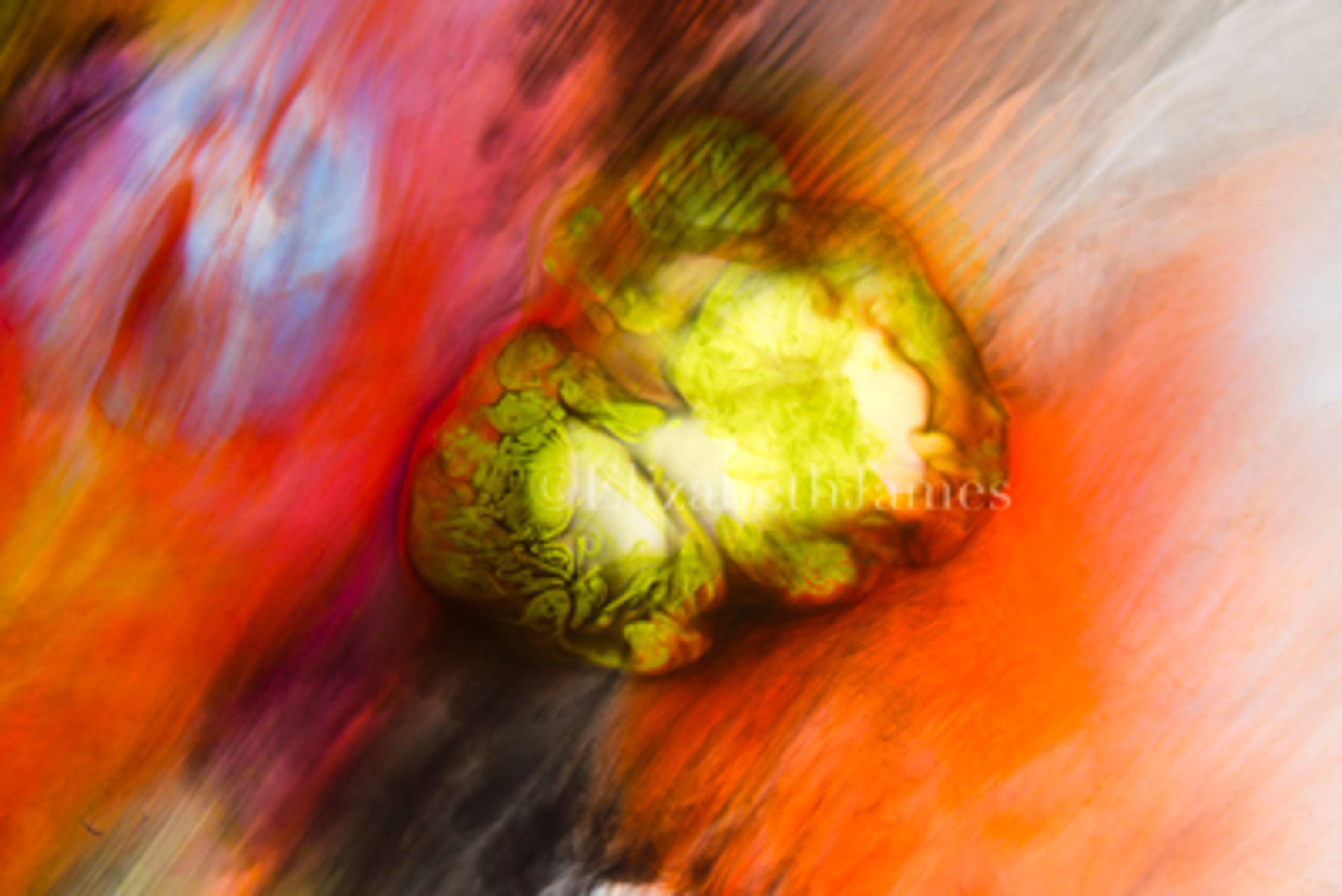 Colour in Motion series by Elizabeth James