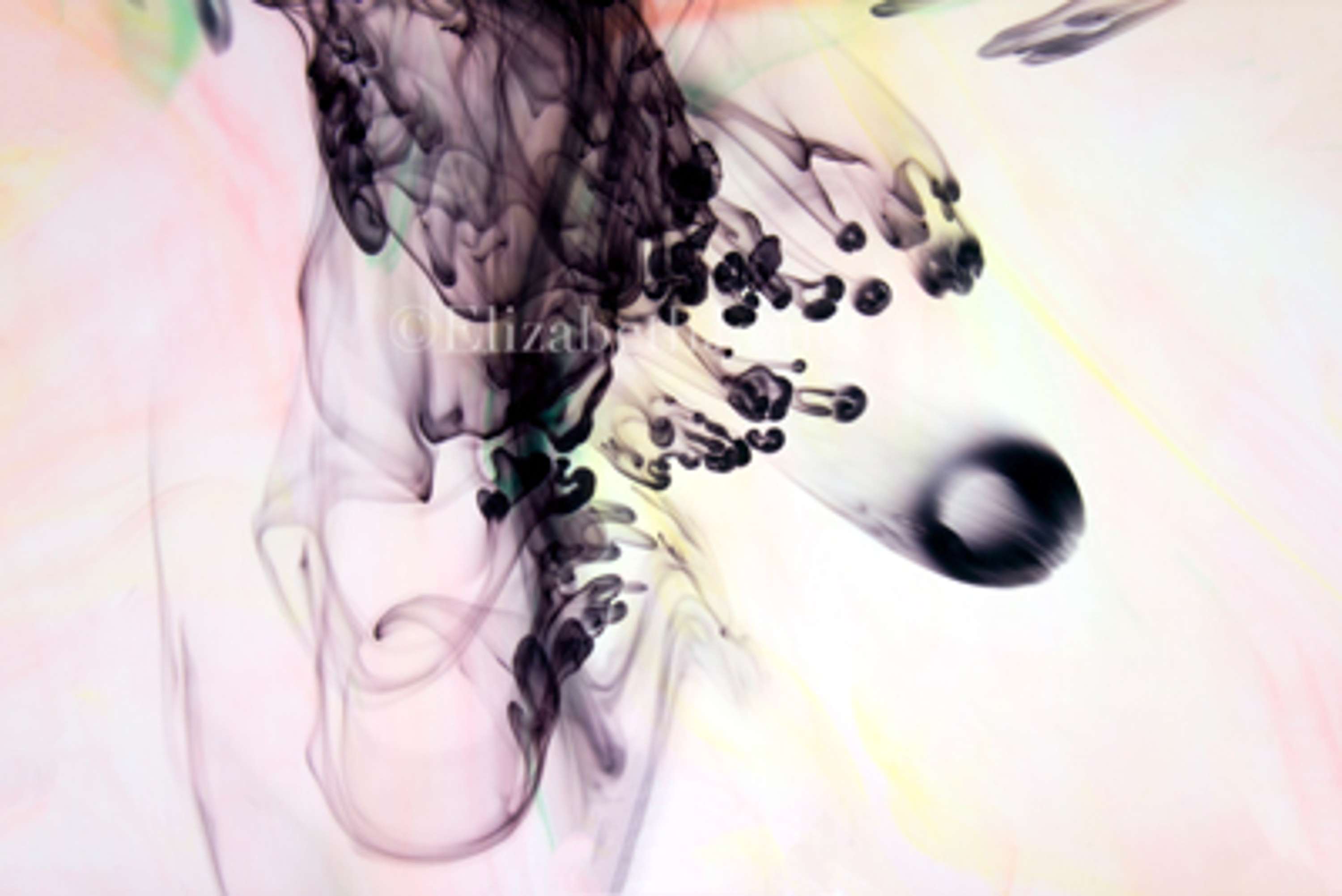 Colour in Motion series by Elizabeth James