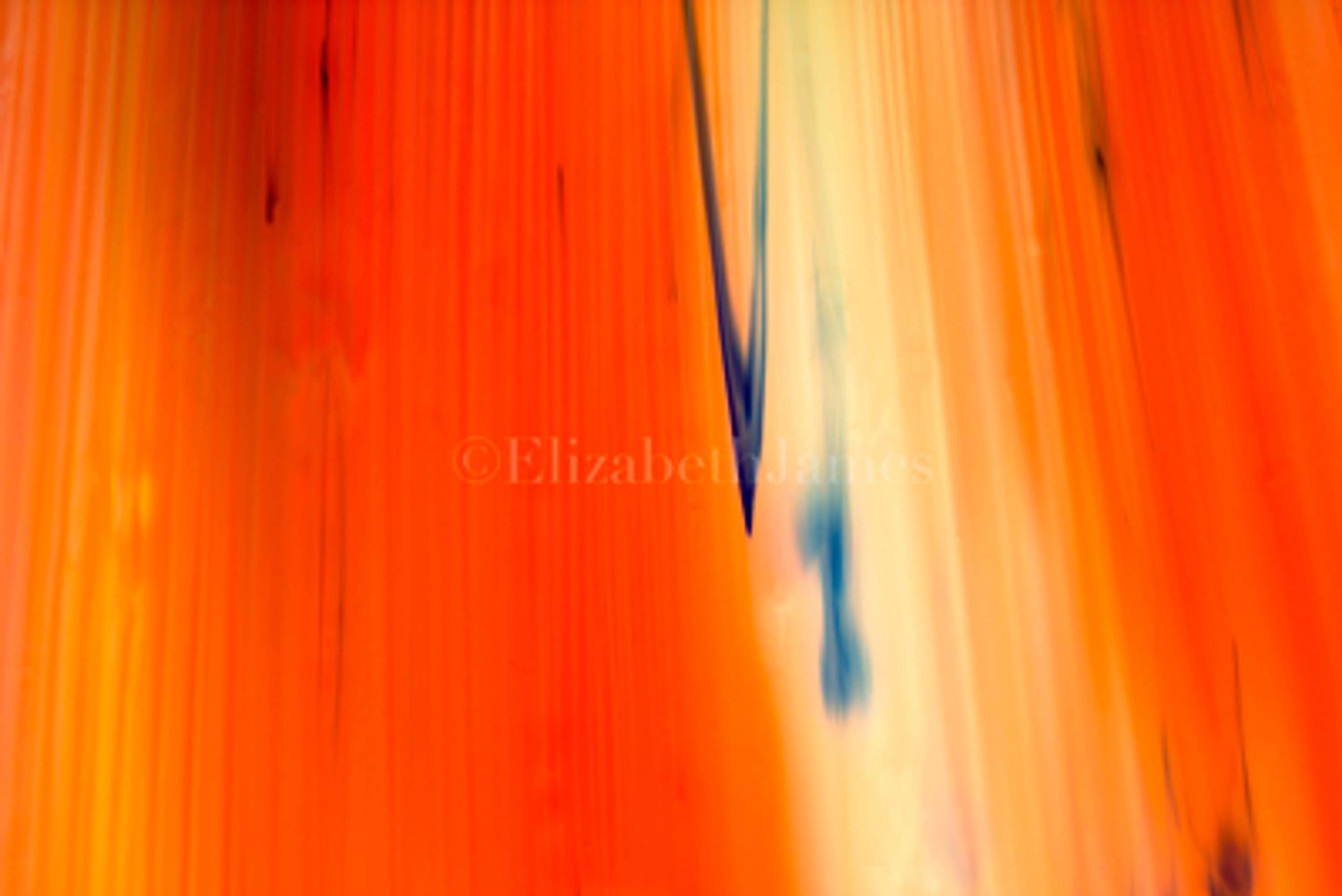 Colour in Motion series by Elizabeth James