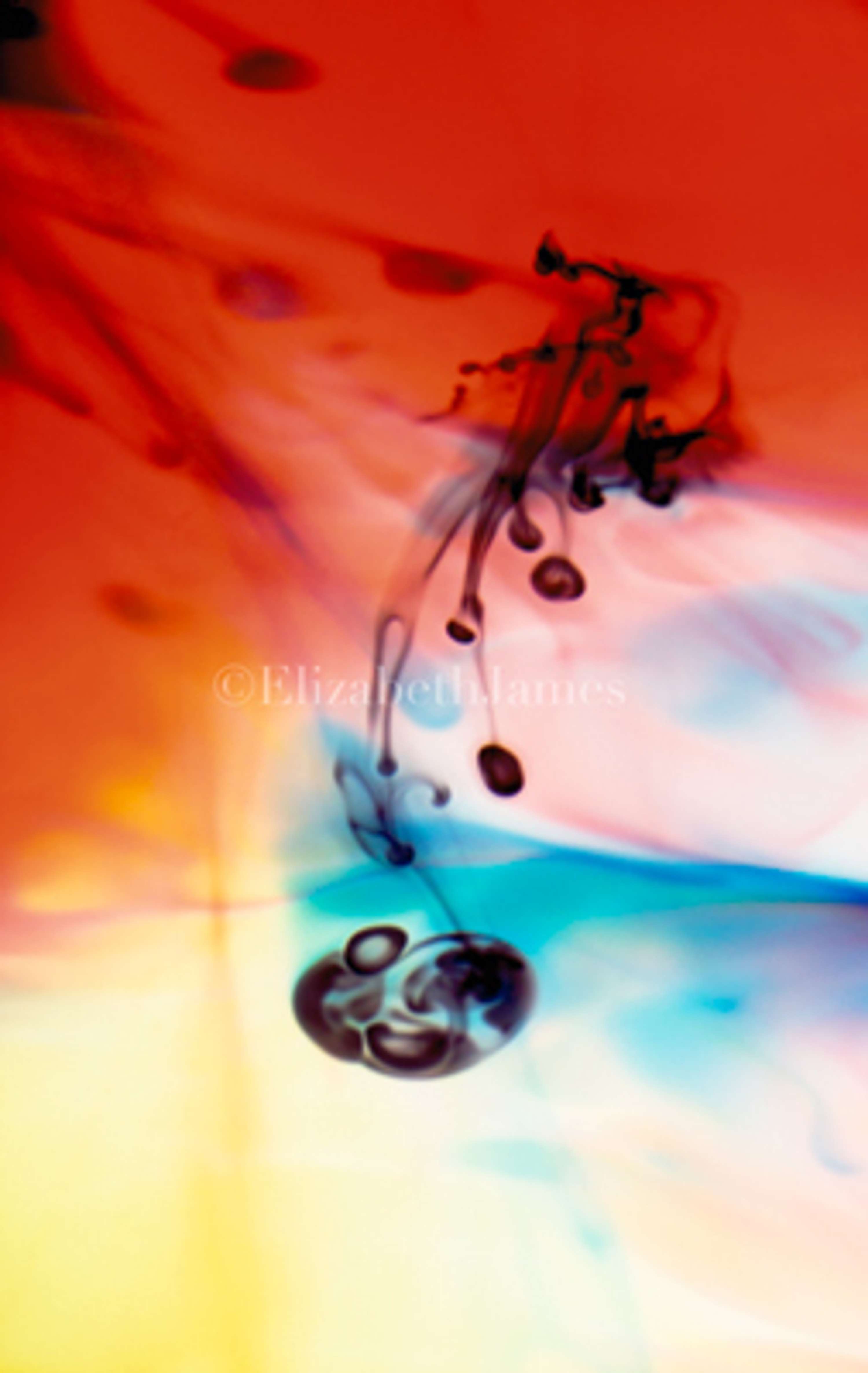 Colour in Motion series by Elizabeth James