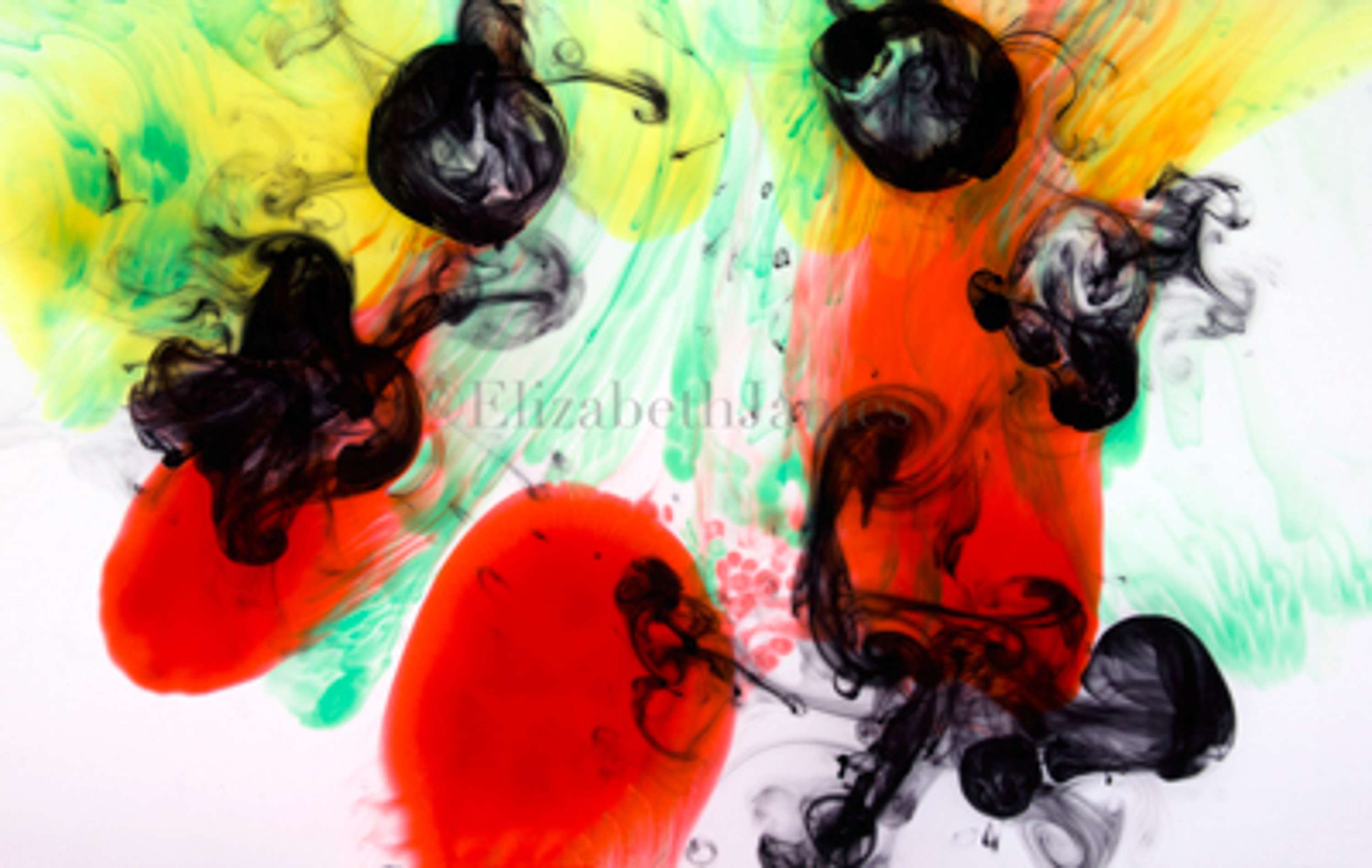 Colour in Motion series by Elizabeth James