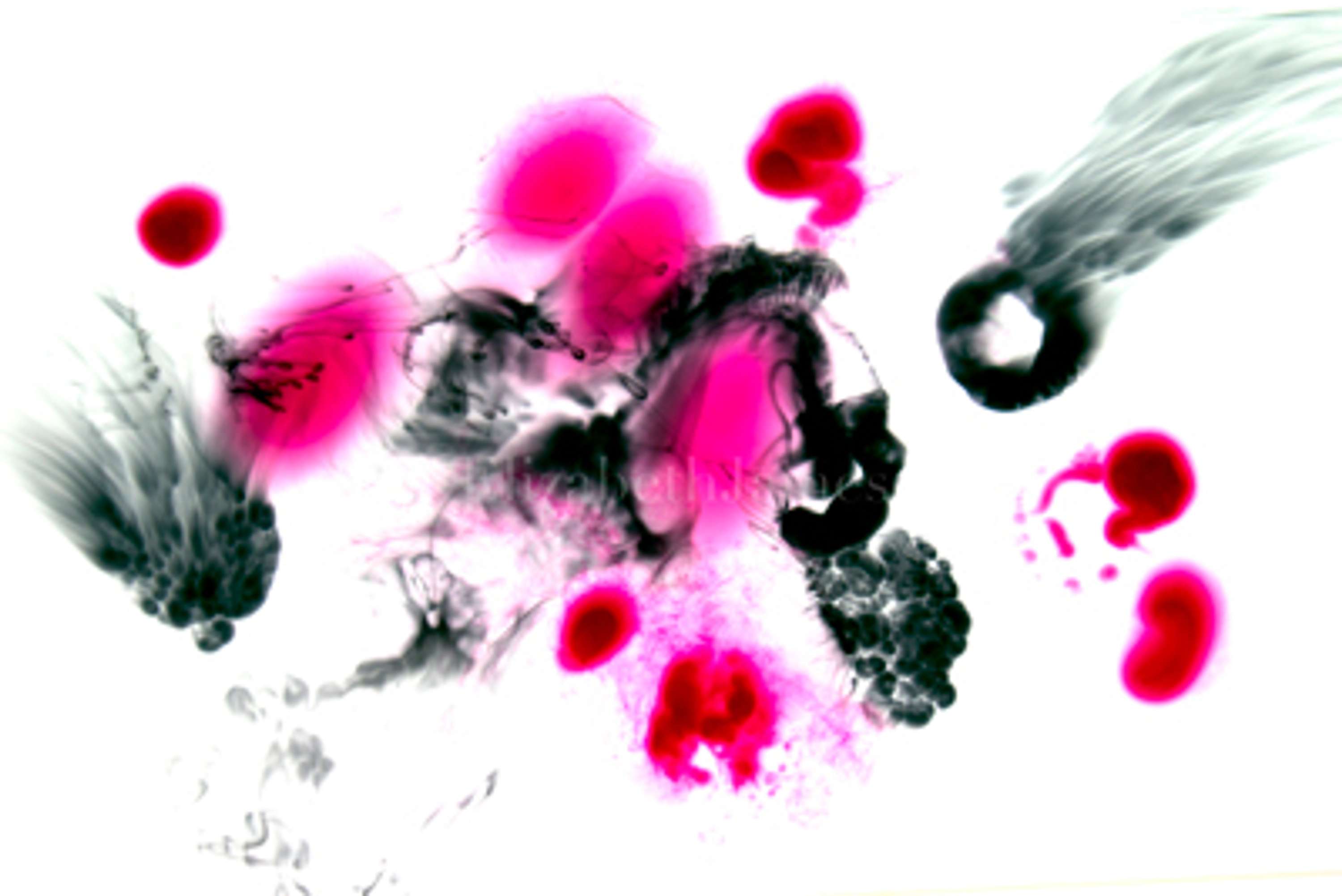 Colour in Motion series by Elizabeth James