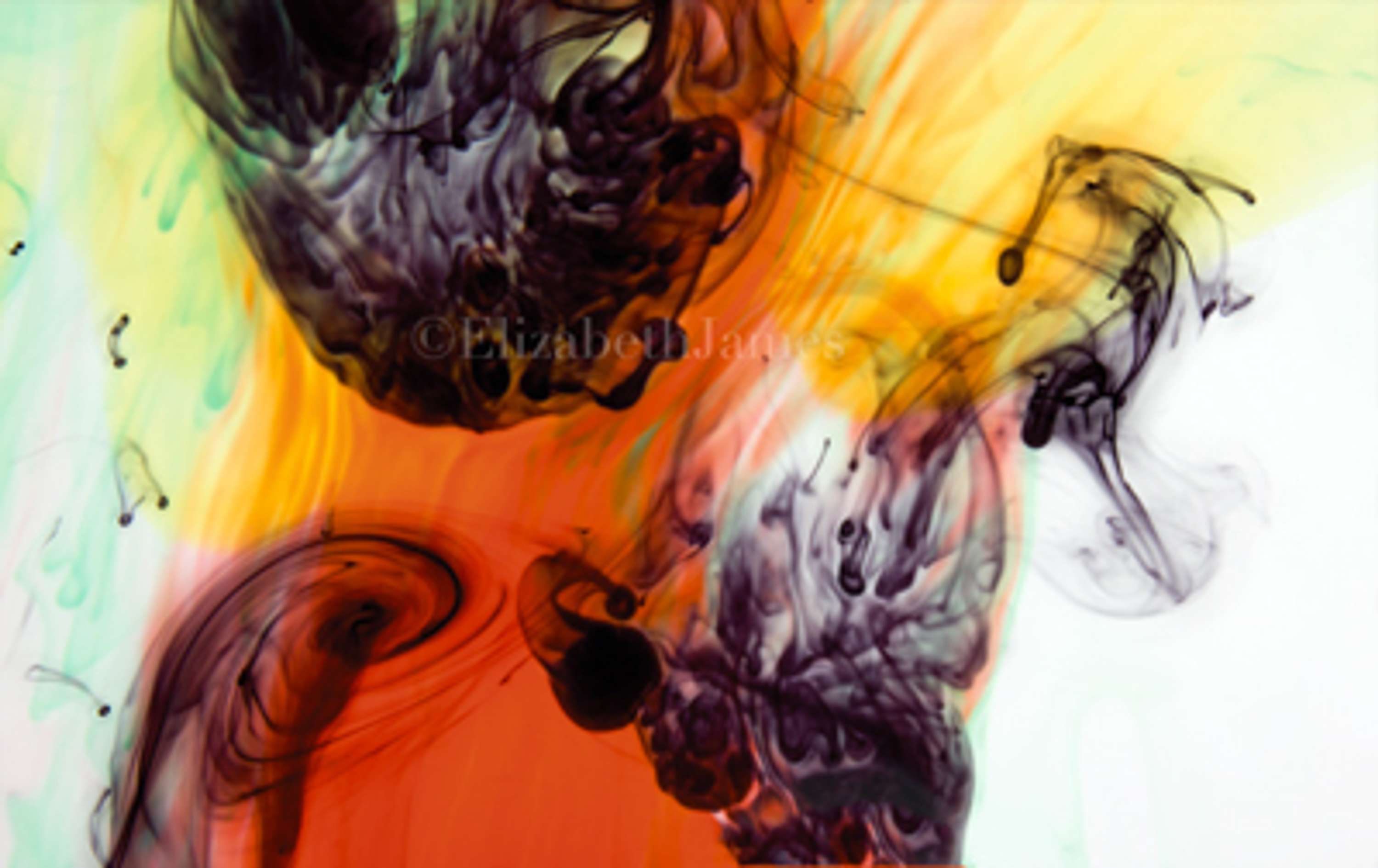 Colour in Motion series by Elizabeth James