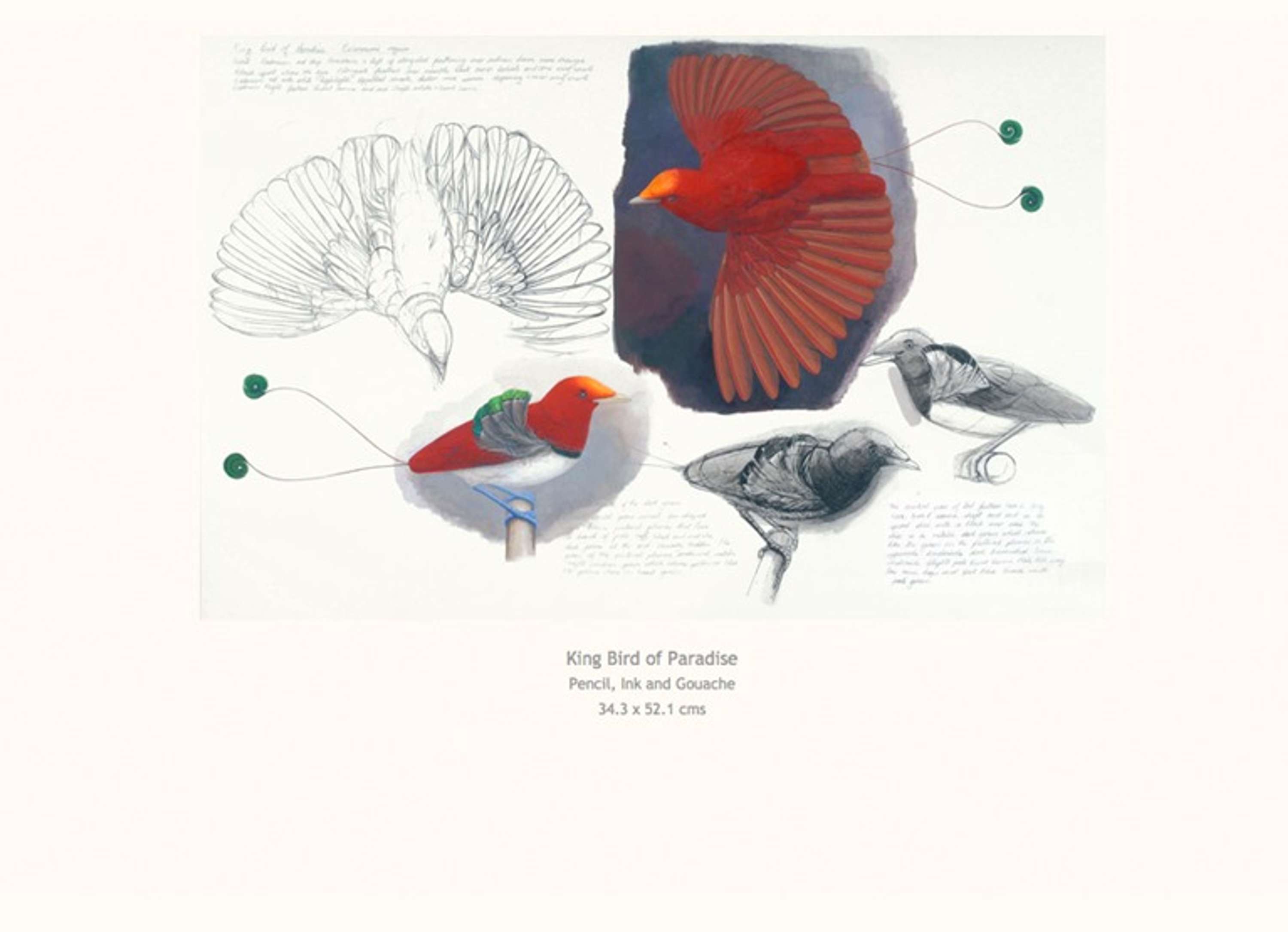 Elizabeth Butterworth. Website design by Tom Climpson