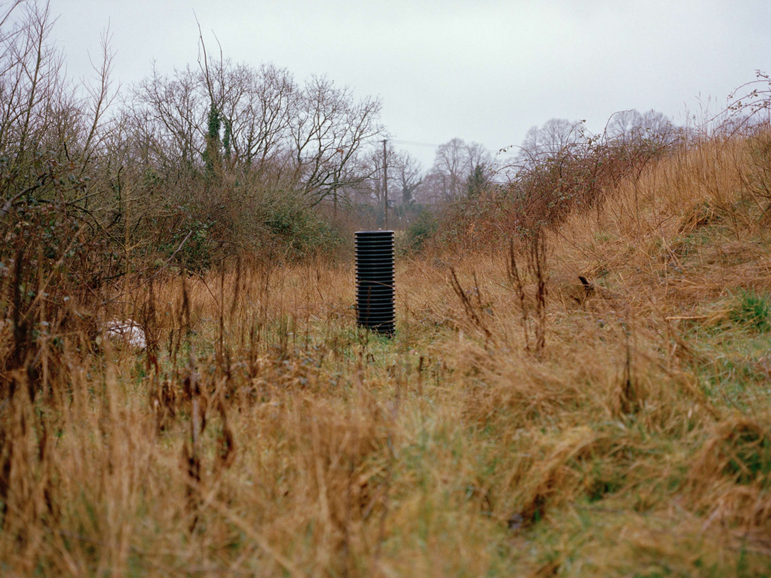 Liminal by Jake Davis