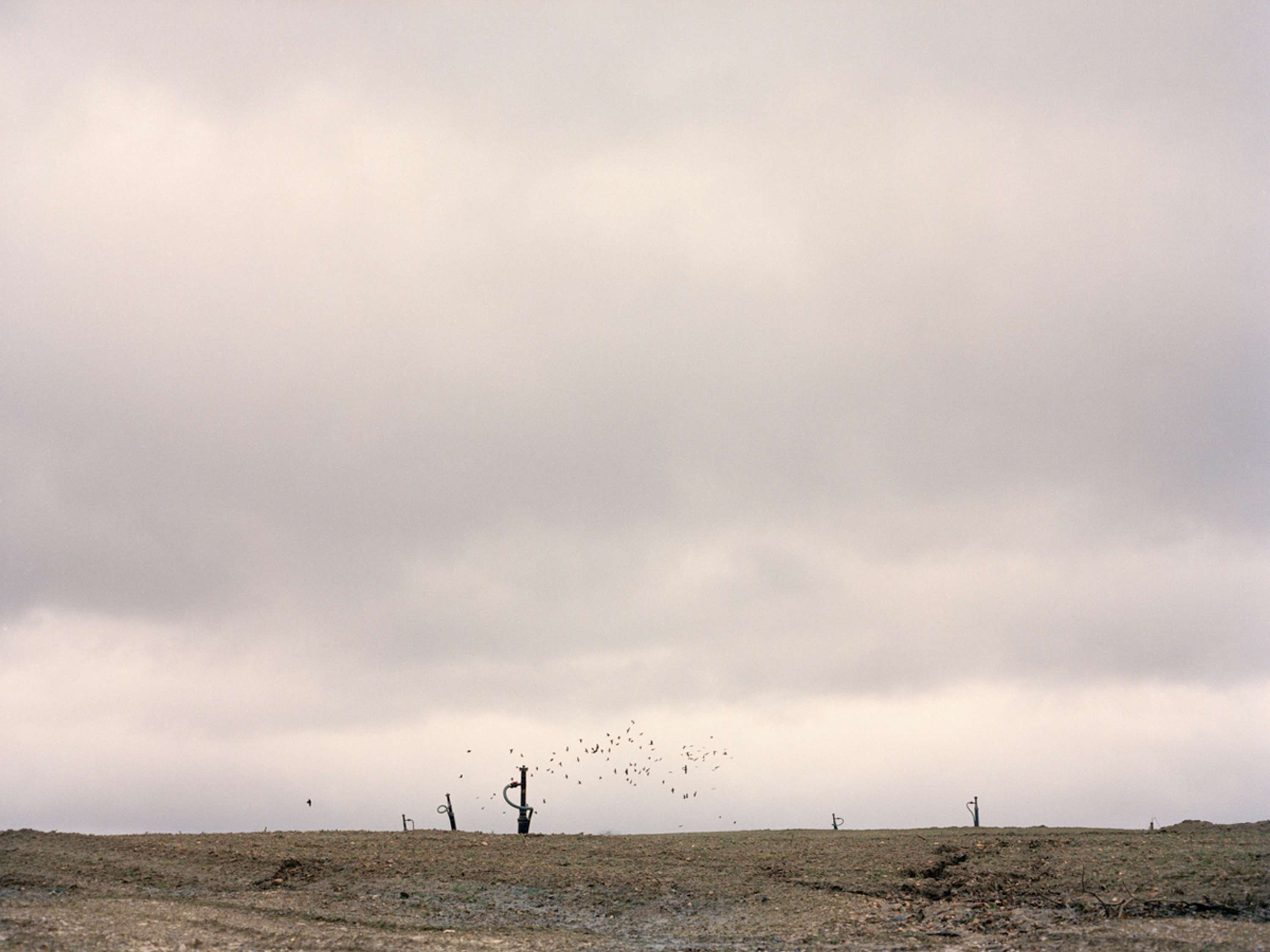 Liminal by Jake Davis