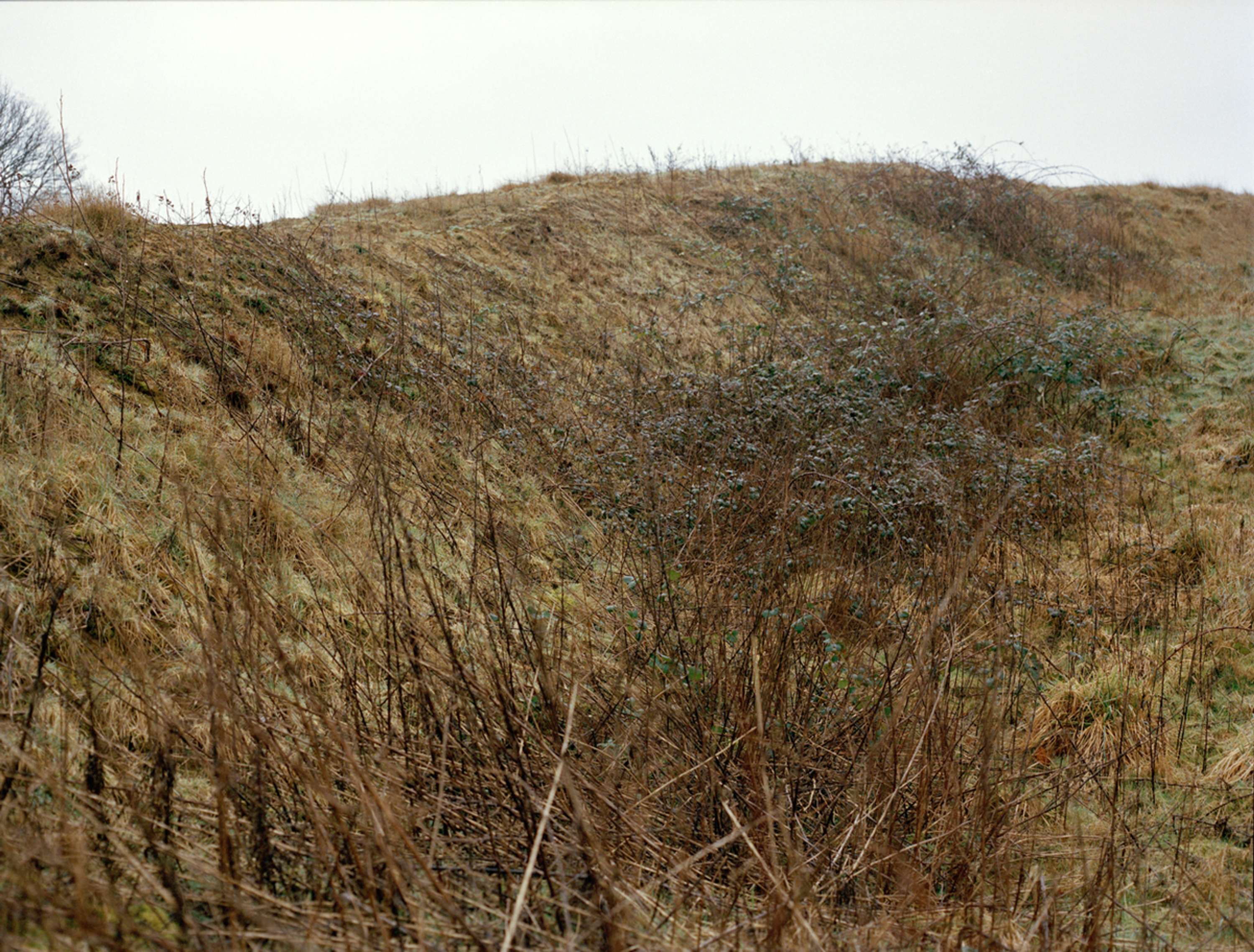 Liminal by Jake Davis