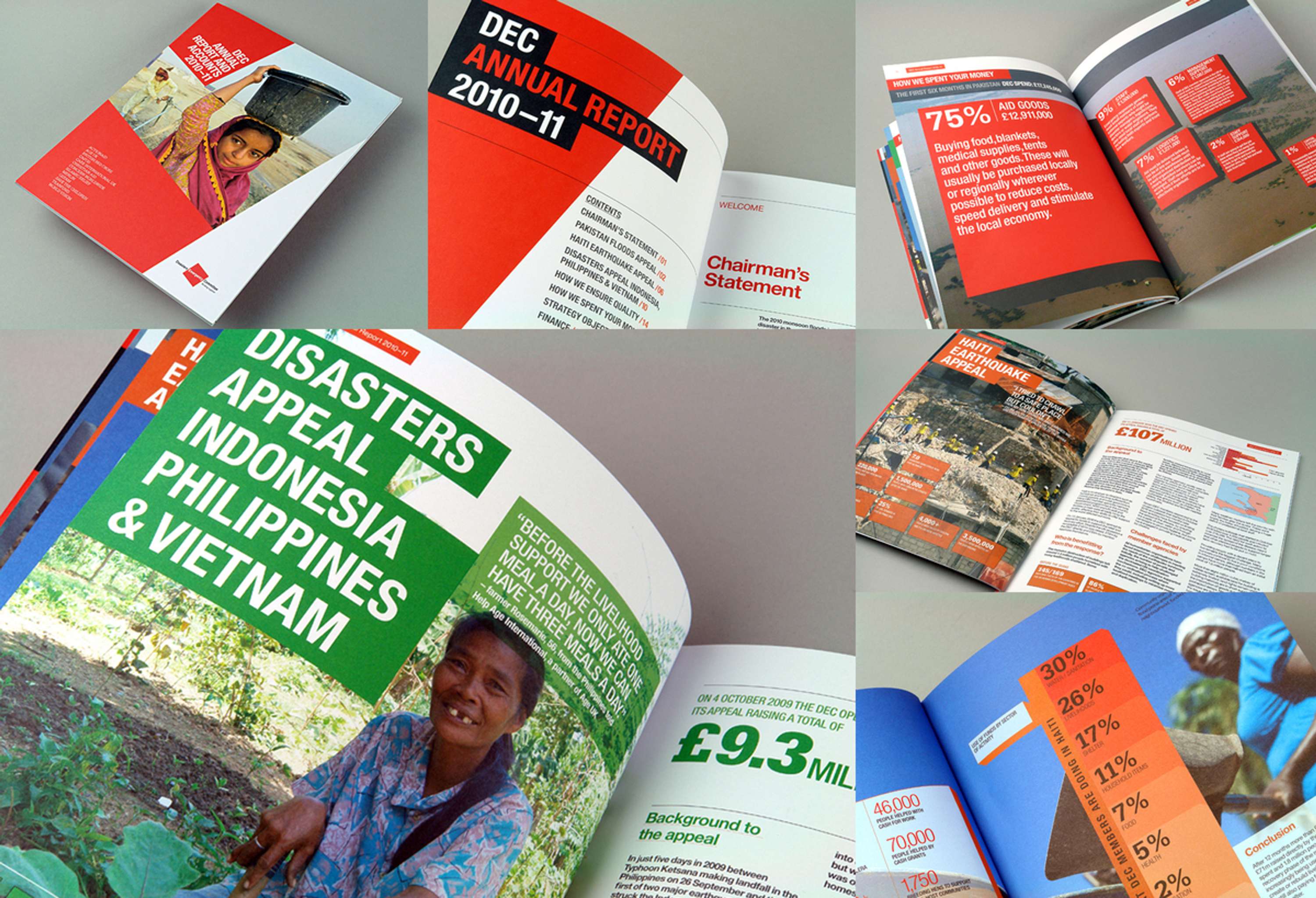 Disaster Emergency Commitee(DEC) Annual Report by amalgam