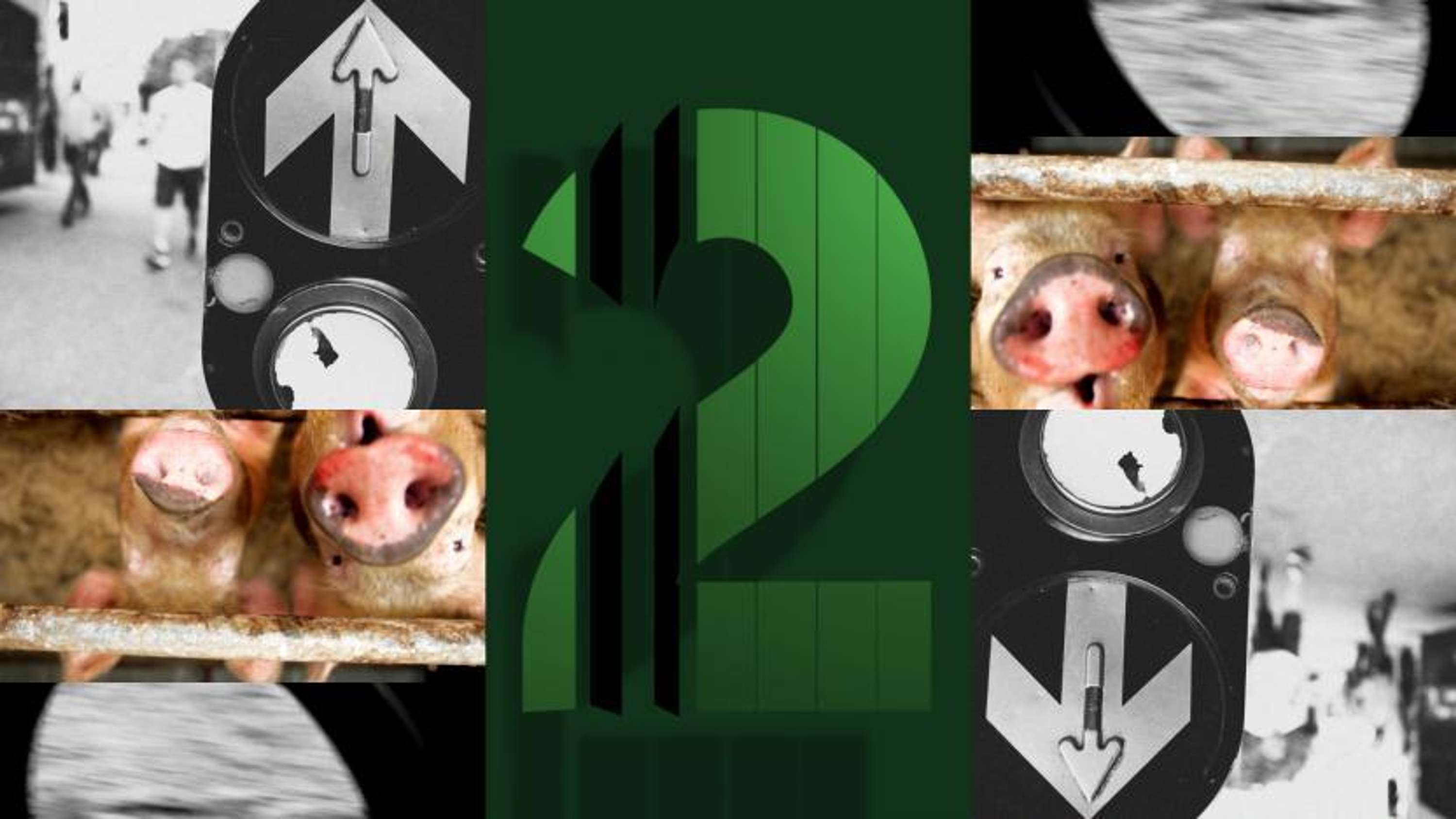 RTÉ2 by Red Bee Media