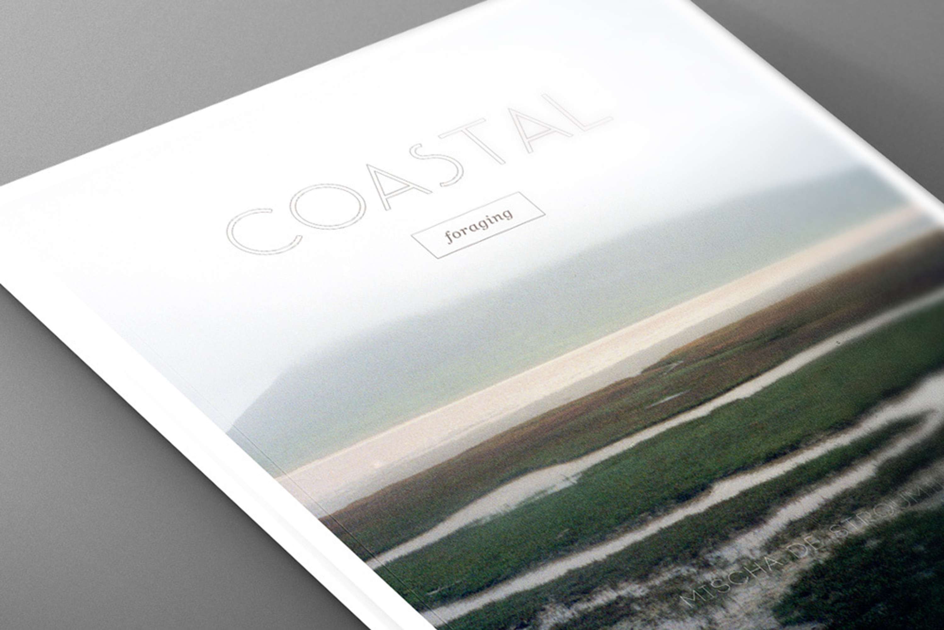 Coastal foraging by Vincent Duff