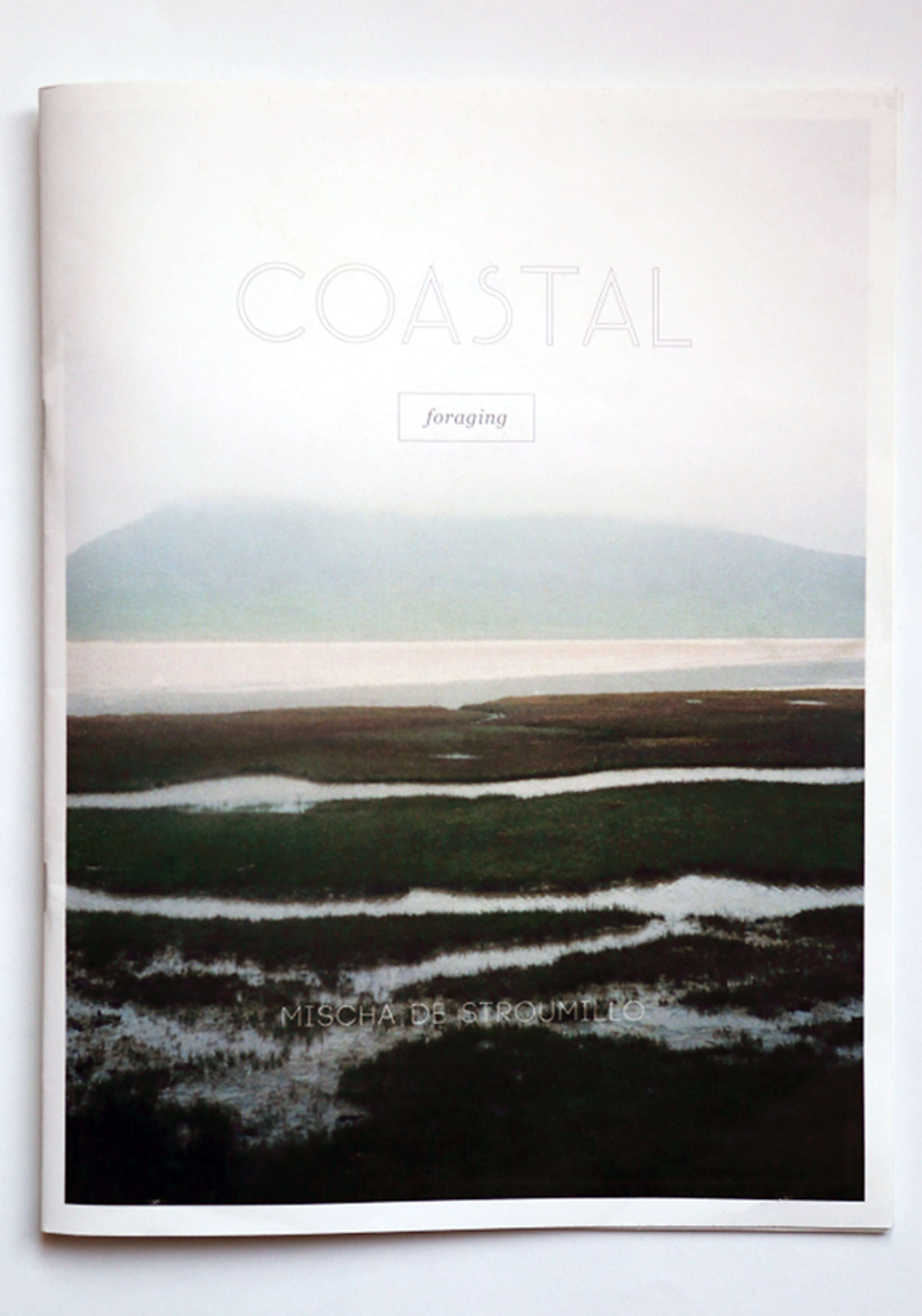 Coastal foraging by Vincent Duff