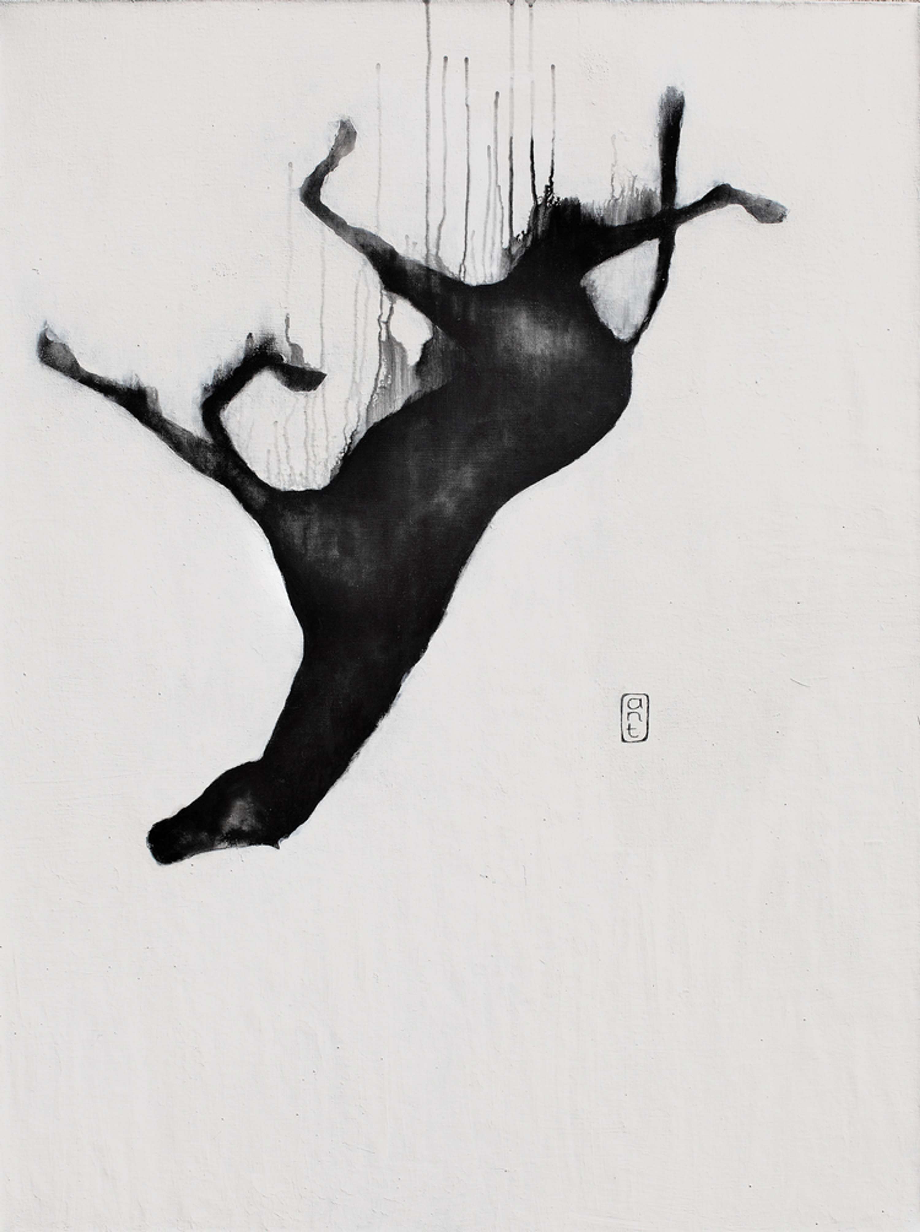 Falling Horses by Kieran Antill