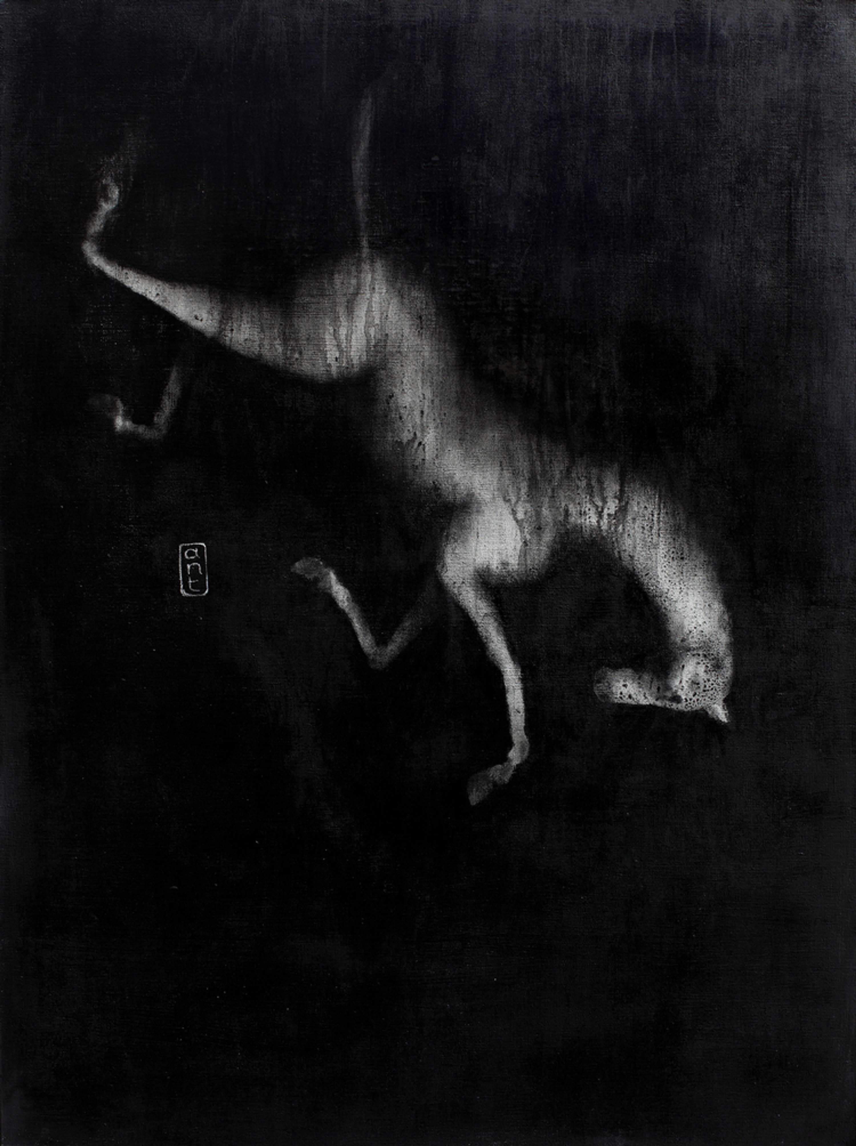 Falling Horses by Kieran Antill