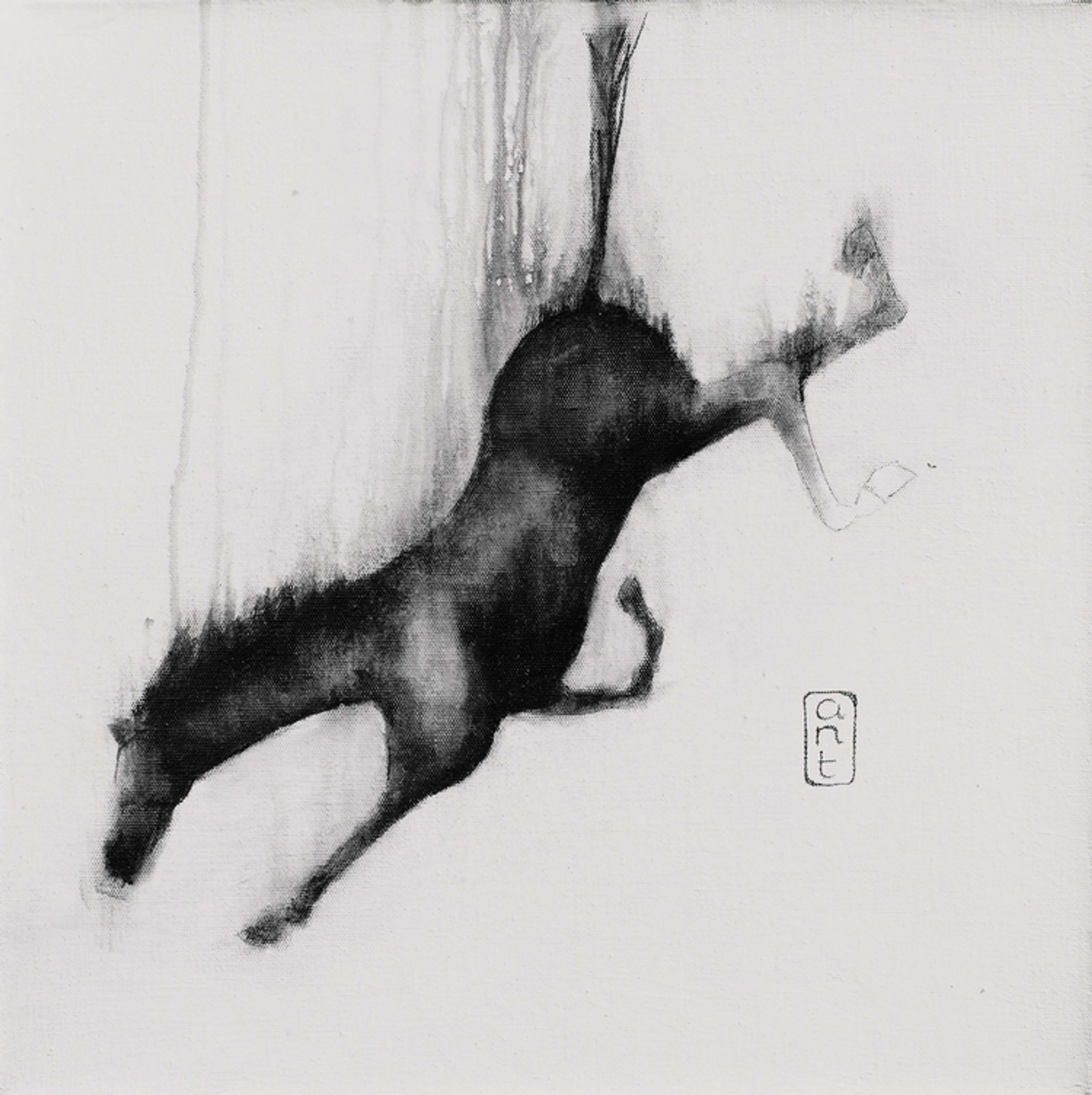 Falling Horses by Kieran Antill