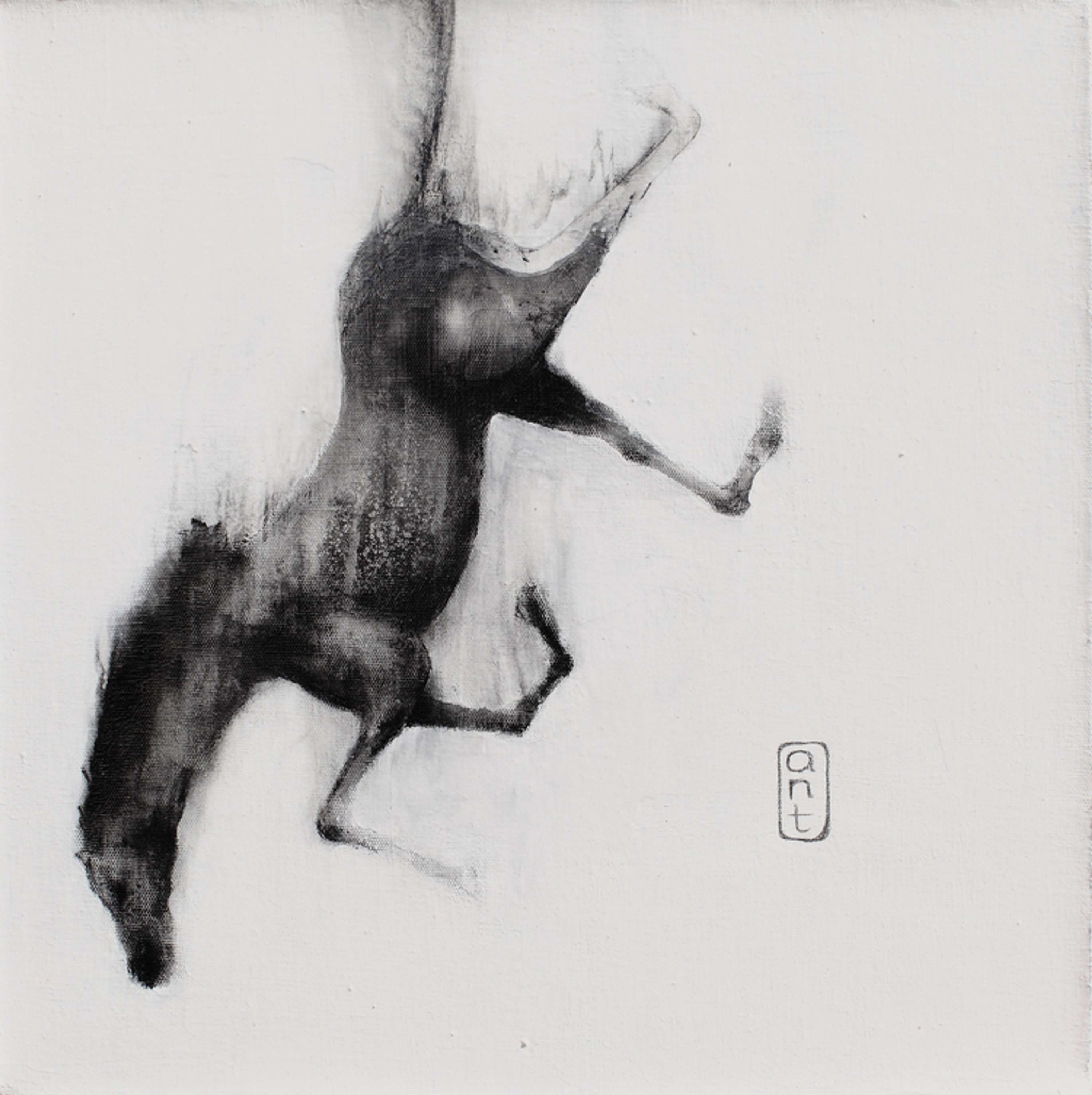 Falling Horses by Kieran Antill